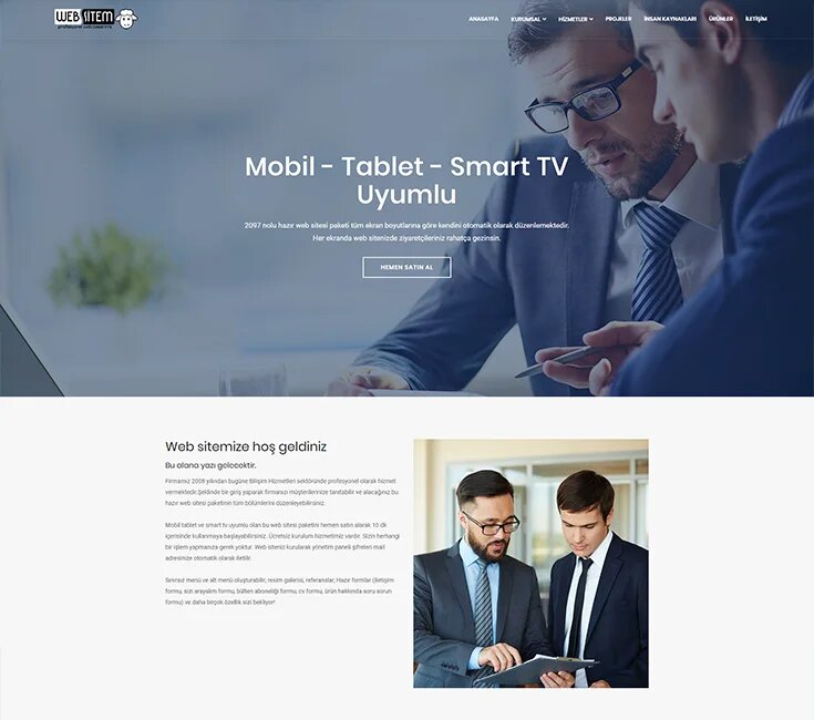 IT company Websitem Bilişim Hizmetleri, Edremit, photo