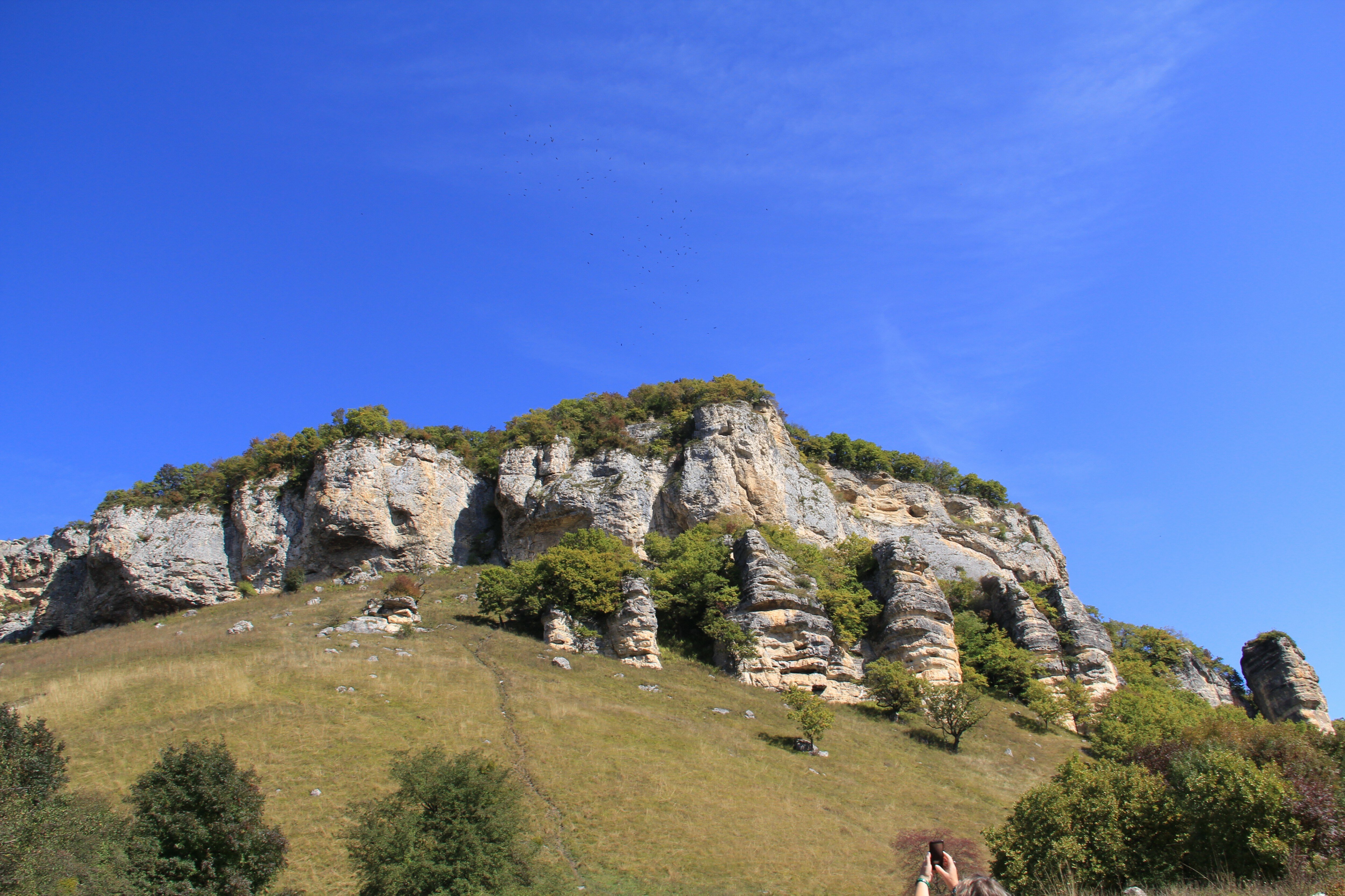 Фото Снежный Барс