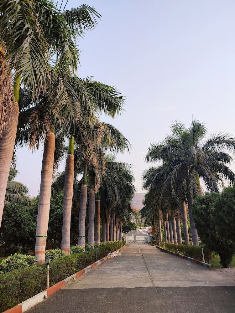 Фото The Rajgir Residency