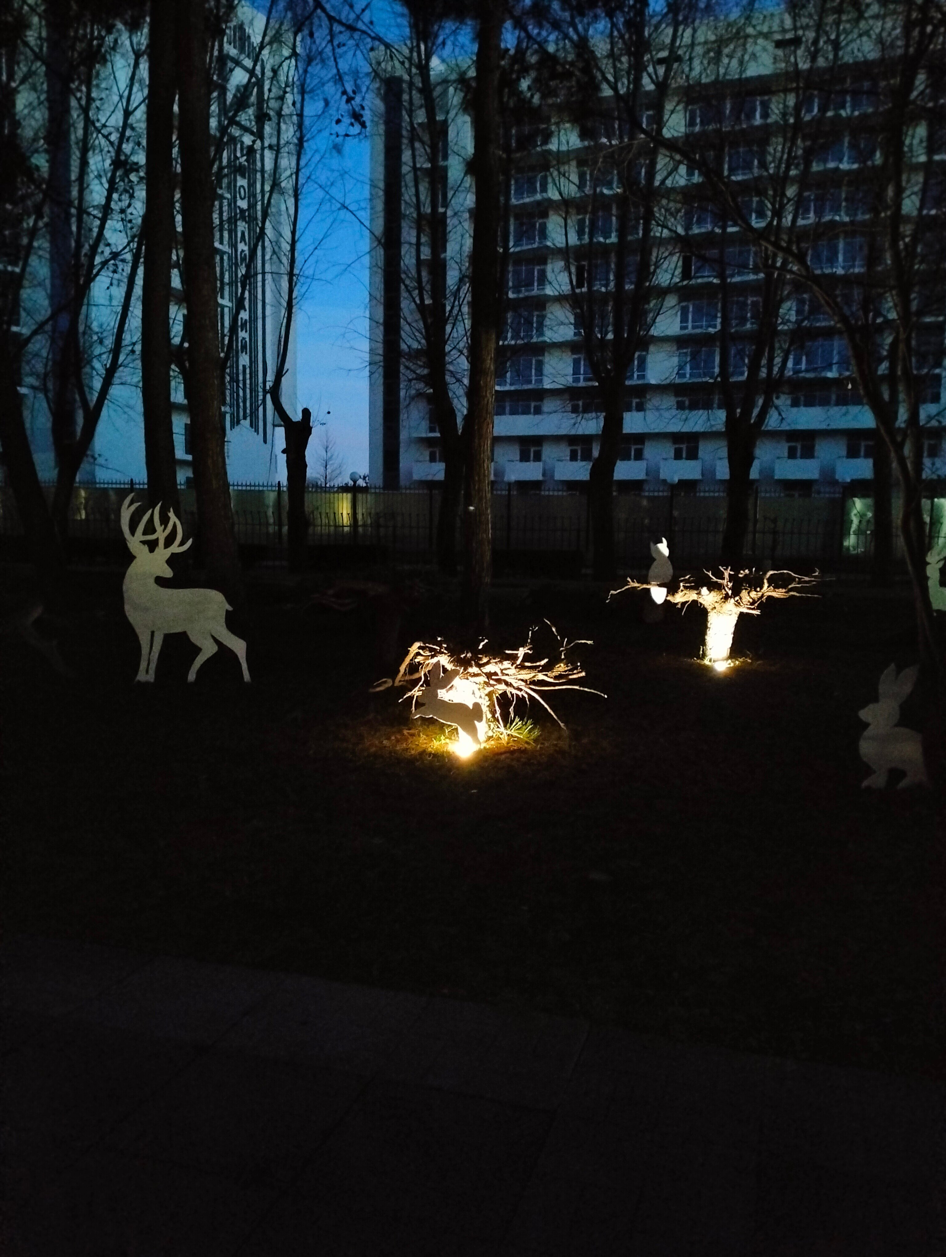 Фото Родник