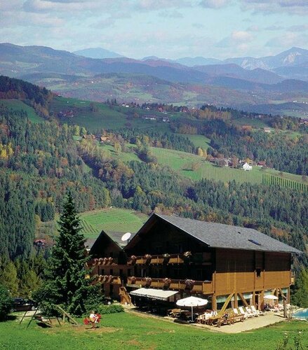 Гостиница Enzianhof в Штирии