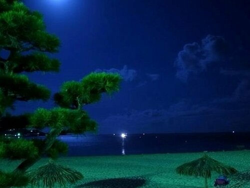 Гостиница Okinawa Minshuku Kariyushi Honkan в Префектуре Вакаяма