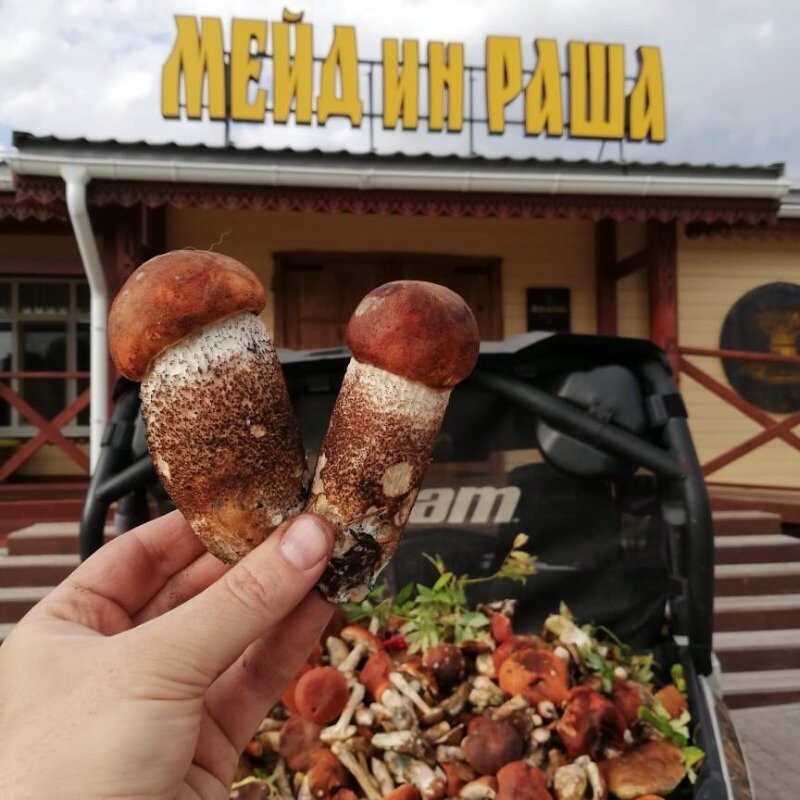 Фото Медвежья Гора