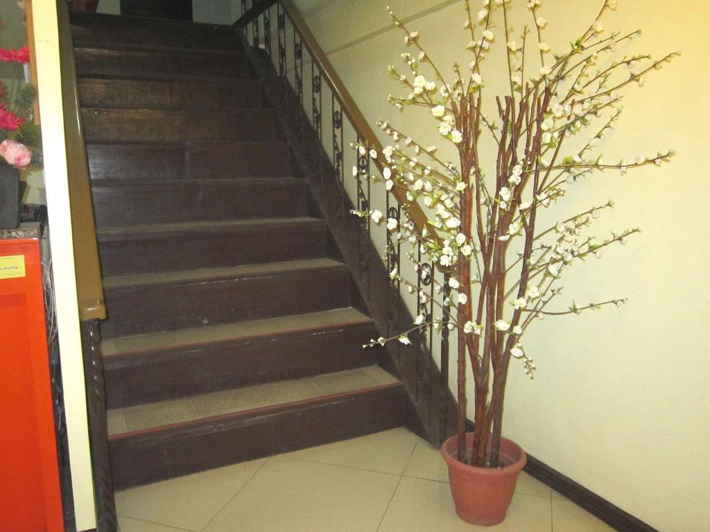 Фото Iloilo Budget Inn - Valeria