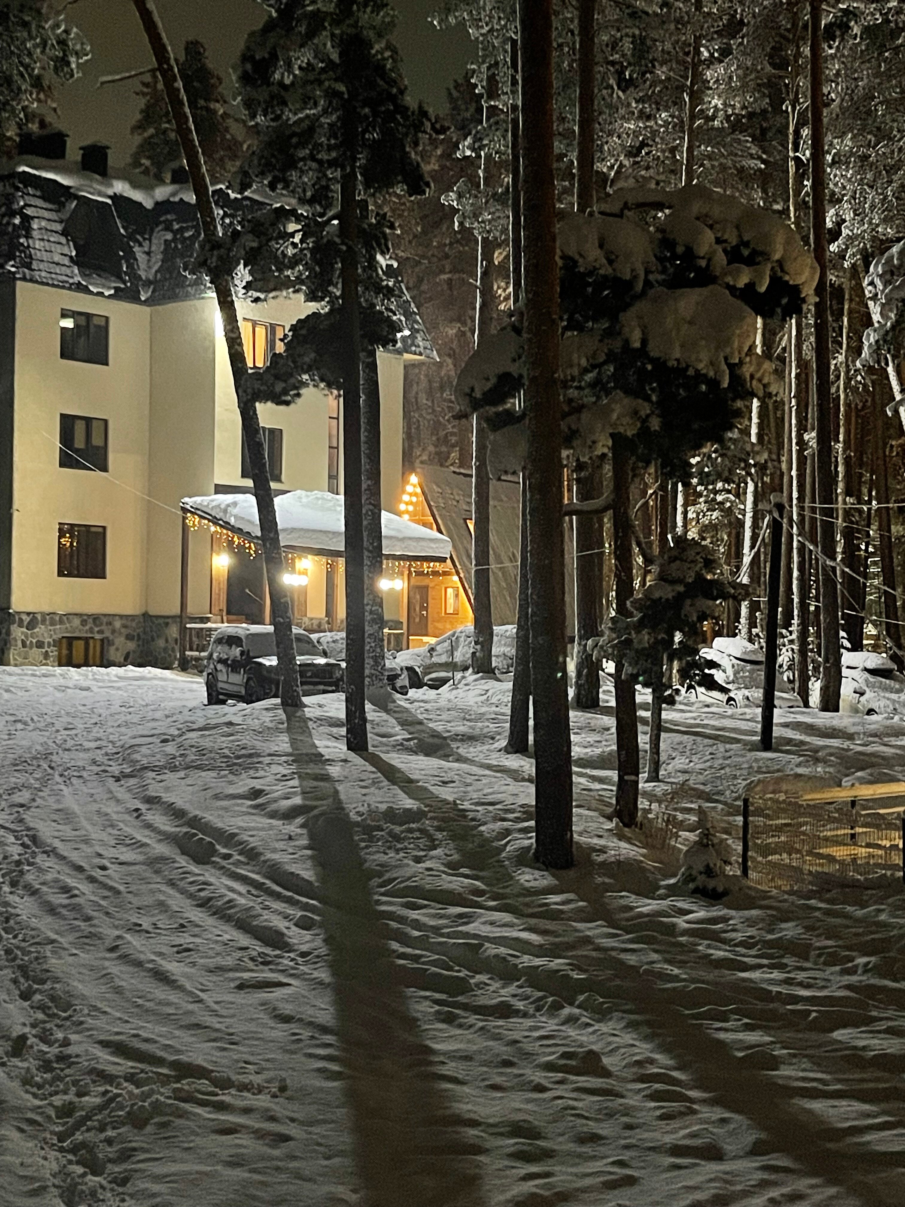 Фото Сосновый бор
