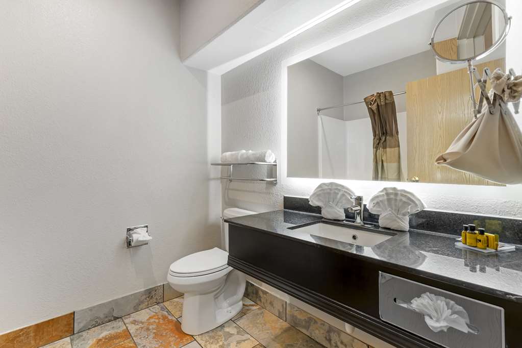 Фото Best Western Plus Des Moines West Inn & Suites