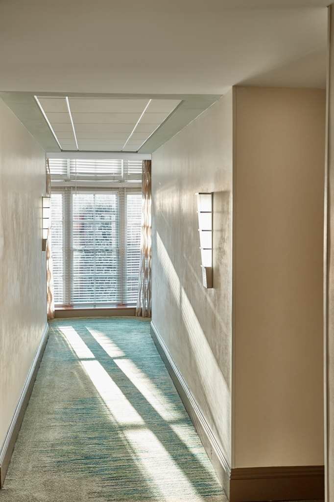 Фото The Cotton Sail Hotel, Tapestry Collection by Hilton