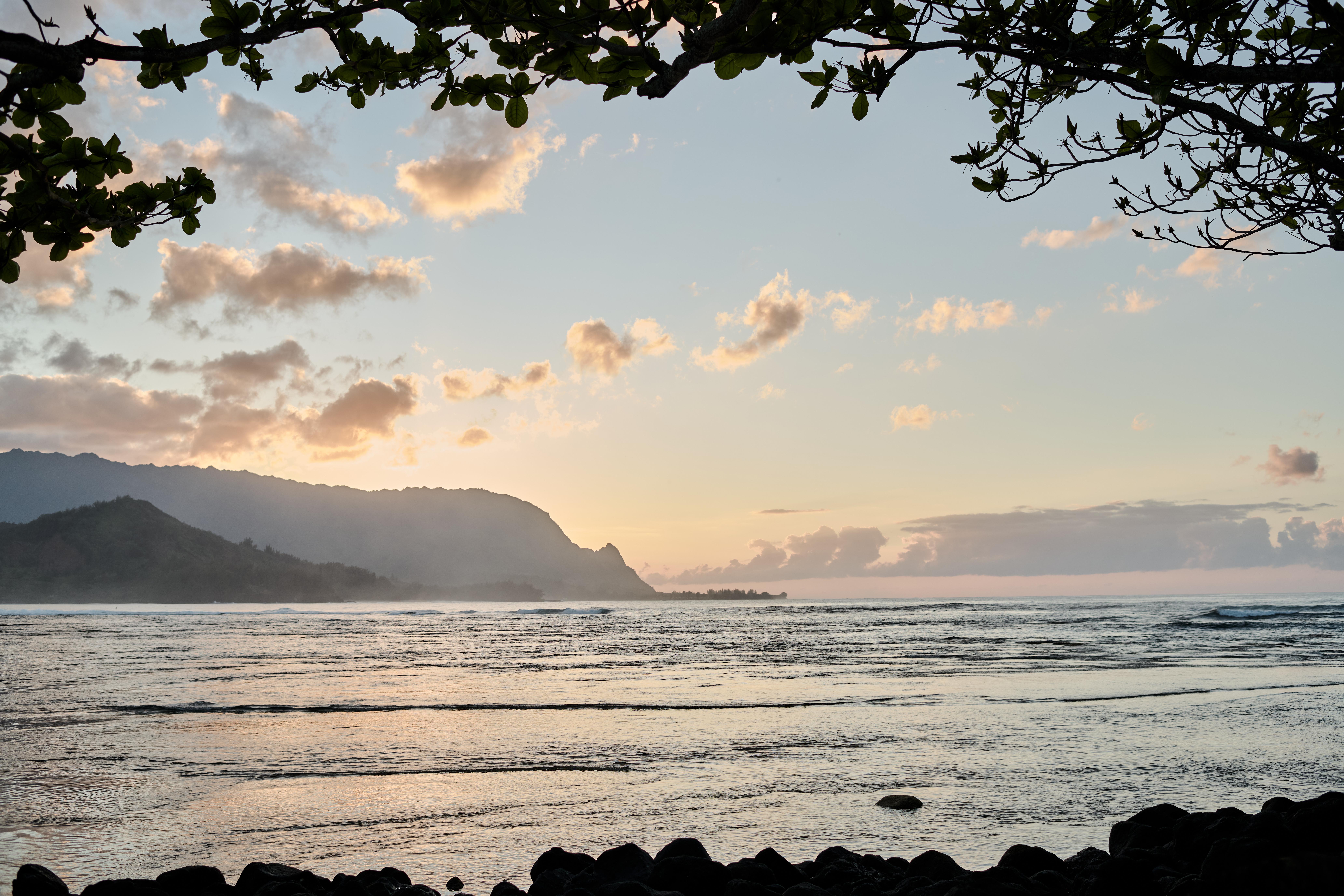Фото 1 Hotel Hanalei Bay
