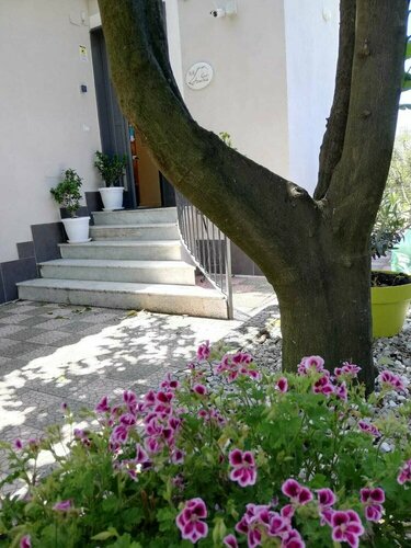 Гостиница B&b Guest Armonie в Торре-дель-Греко