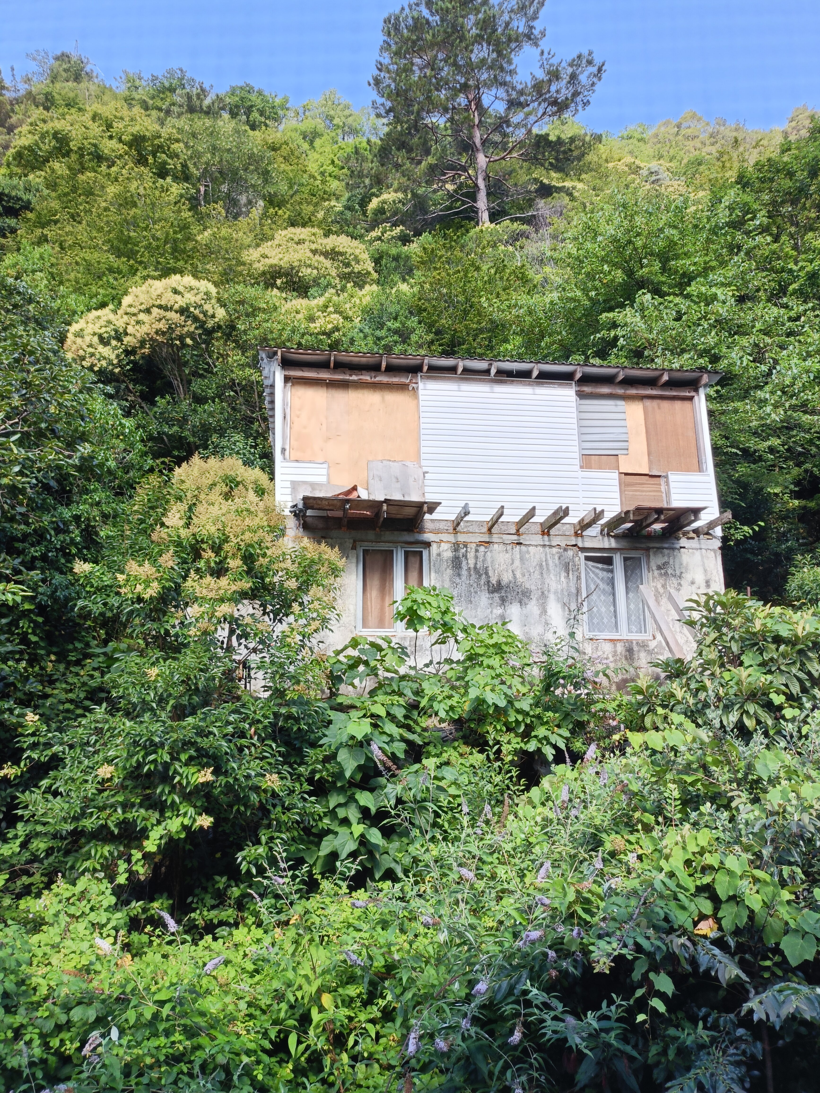 Фото Guest House Gorny Ruchei