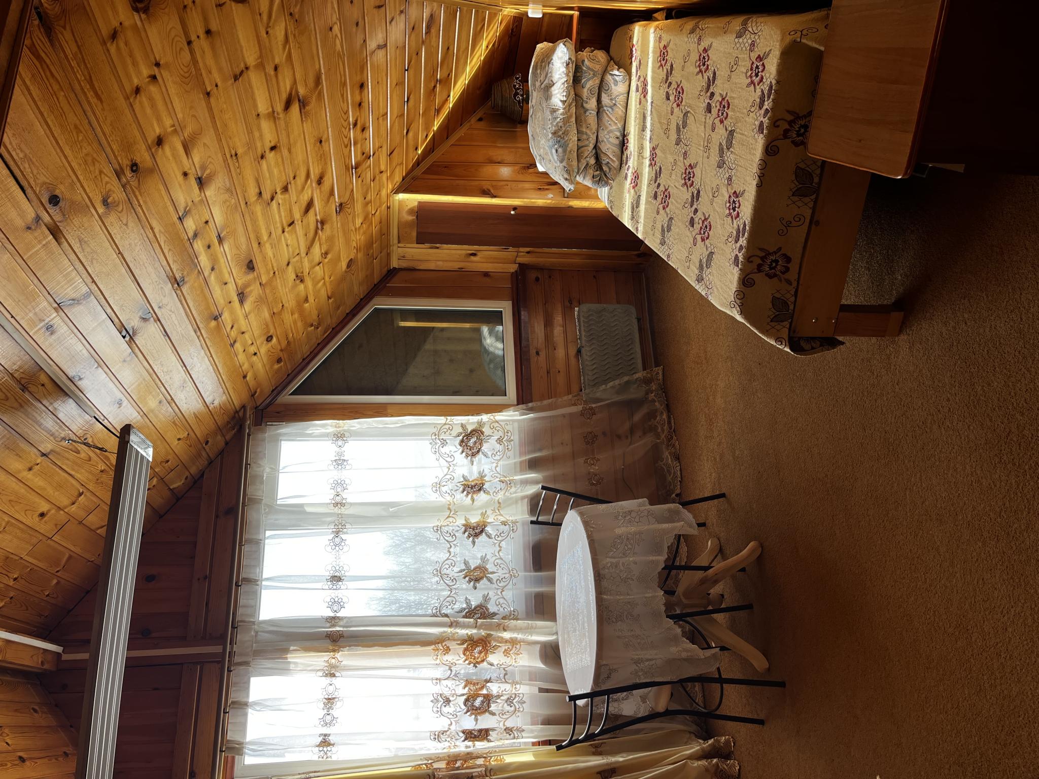 Фото Ёлочка