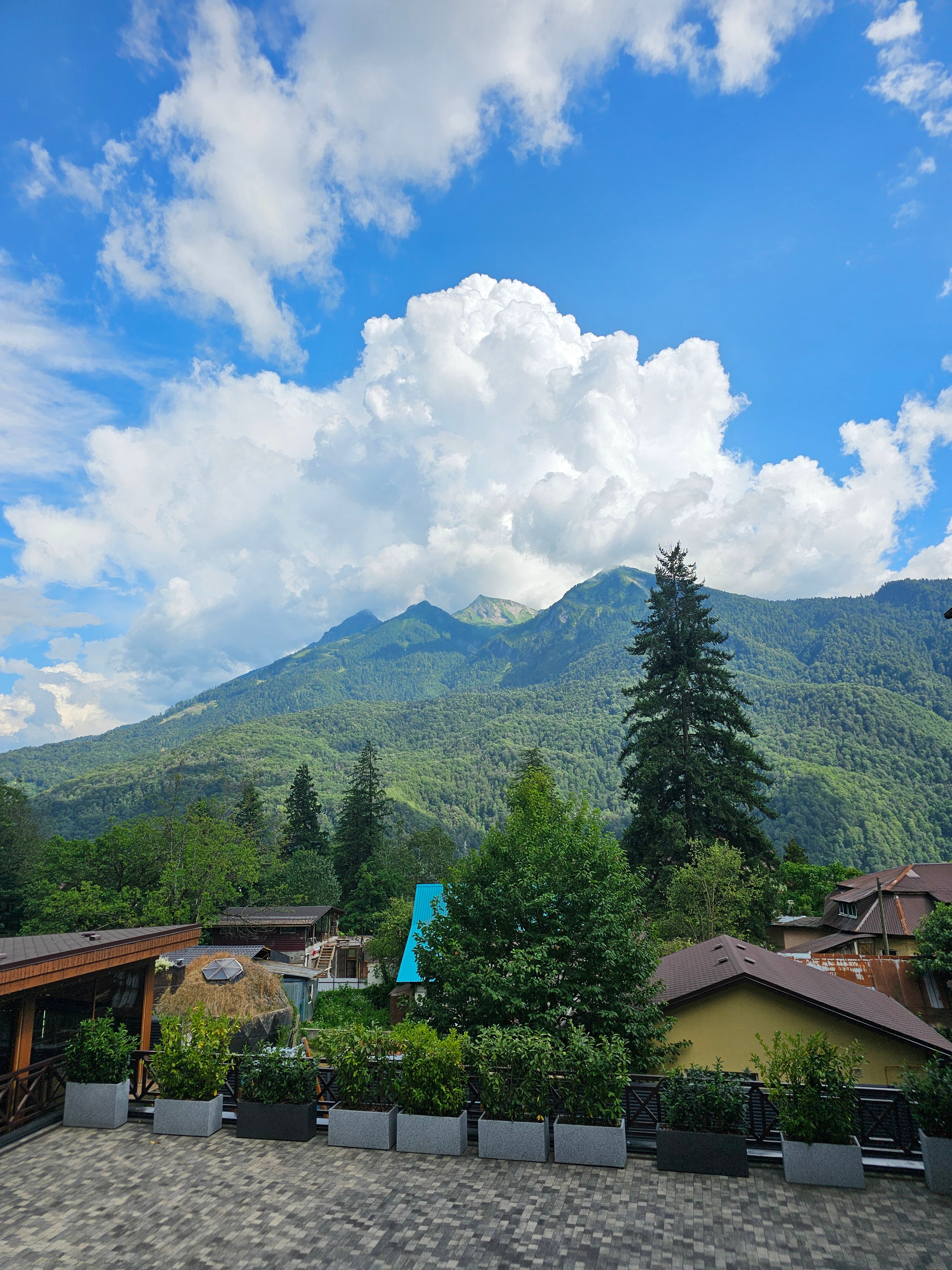 Фото Панорама Ачишхо