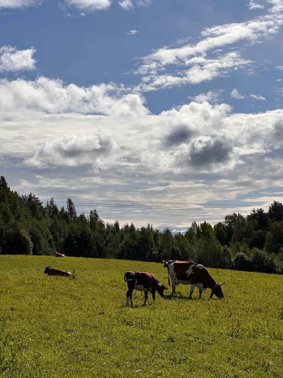 Фото Агроусадьба Ивановых. Старый хутор Тауно Туоми
