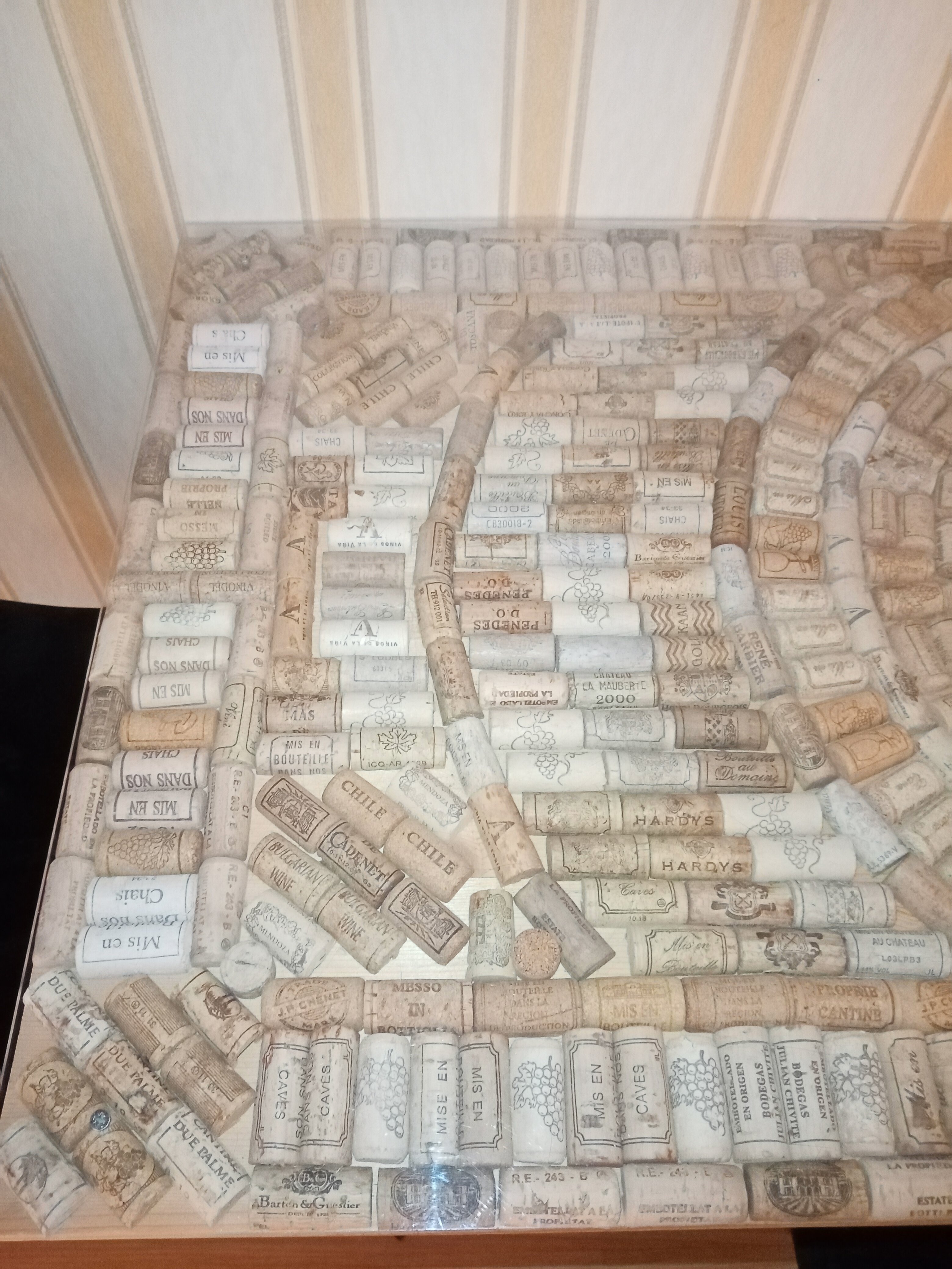 Фото Королевская звезда