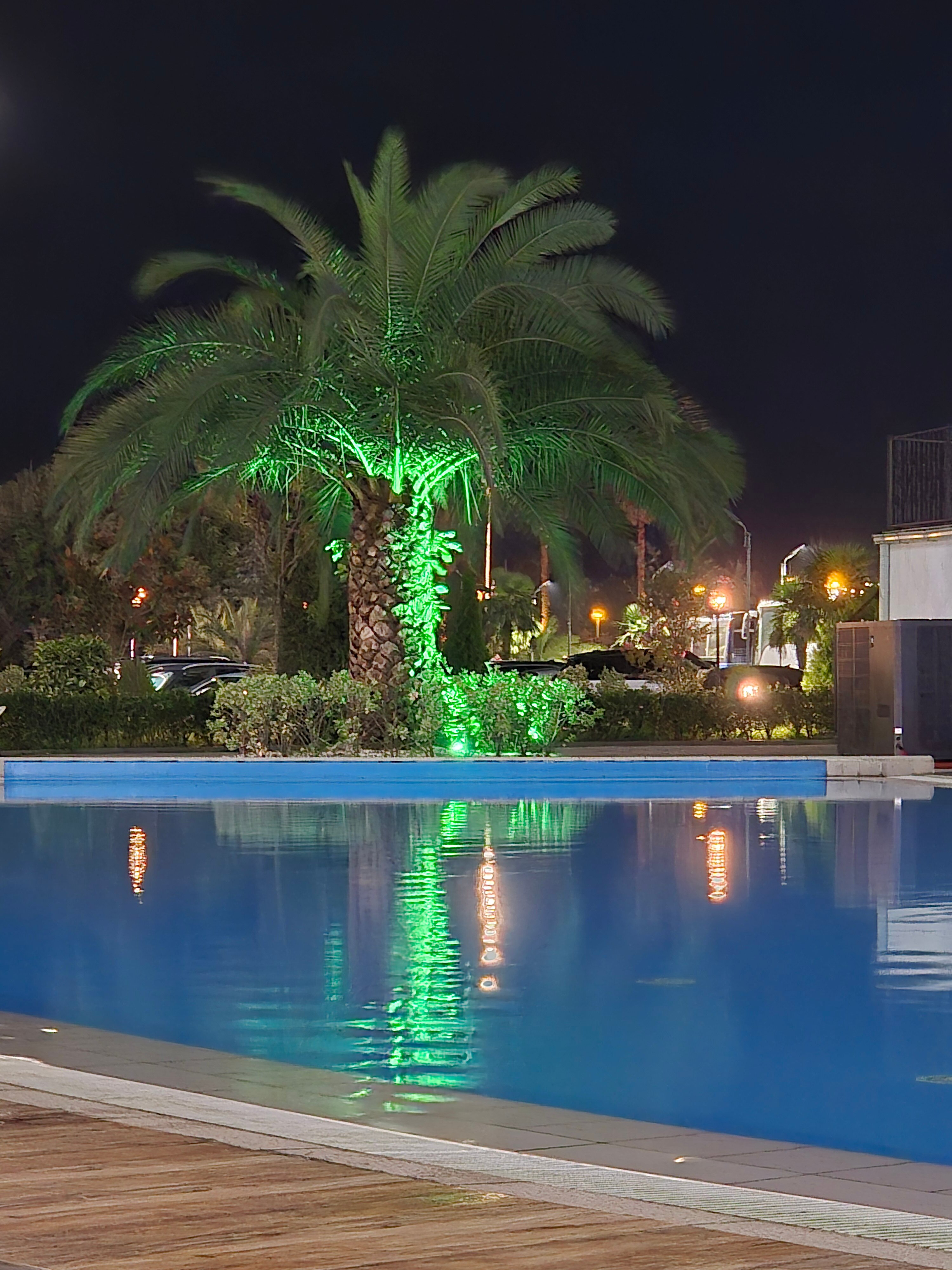 Фото White Sails Residential Hotel