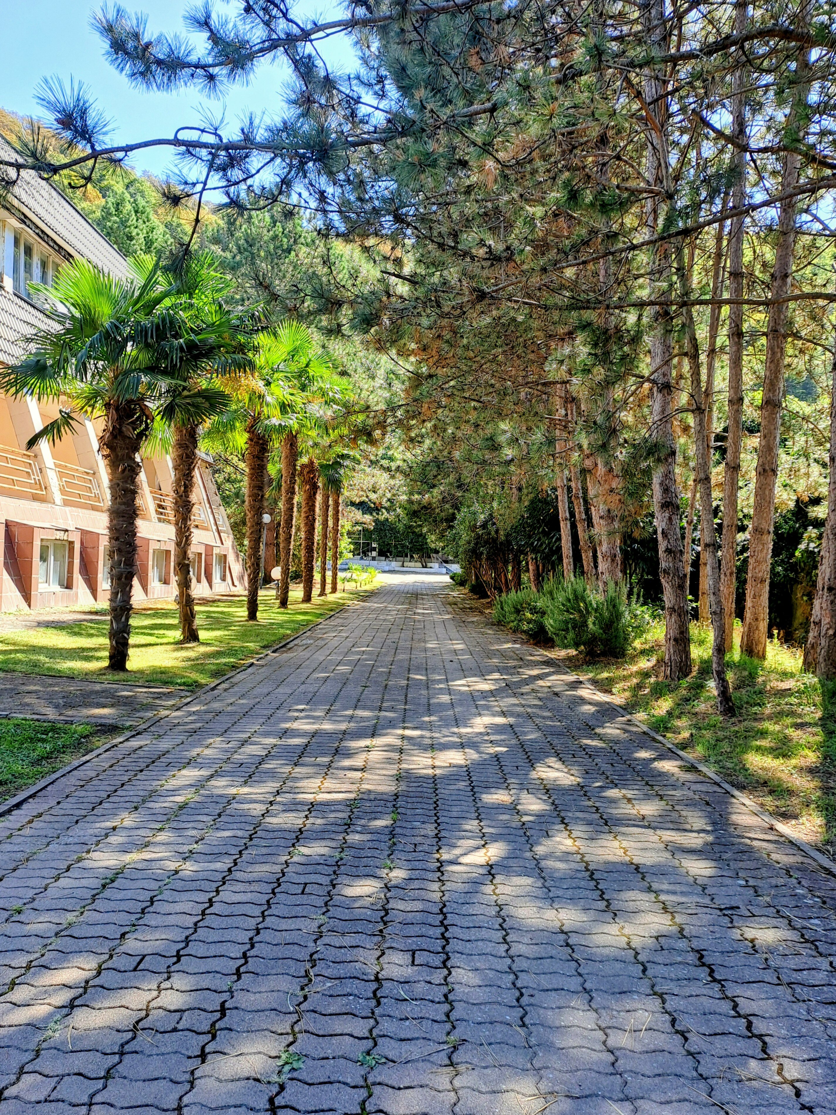 Фото Апартаменты Saltykov Agoy Resort