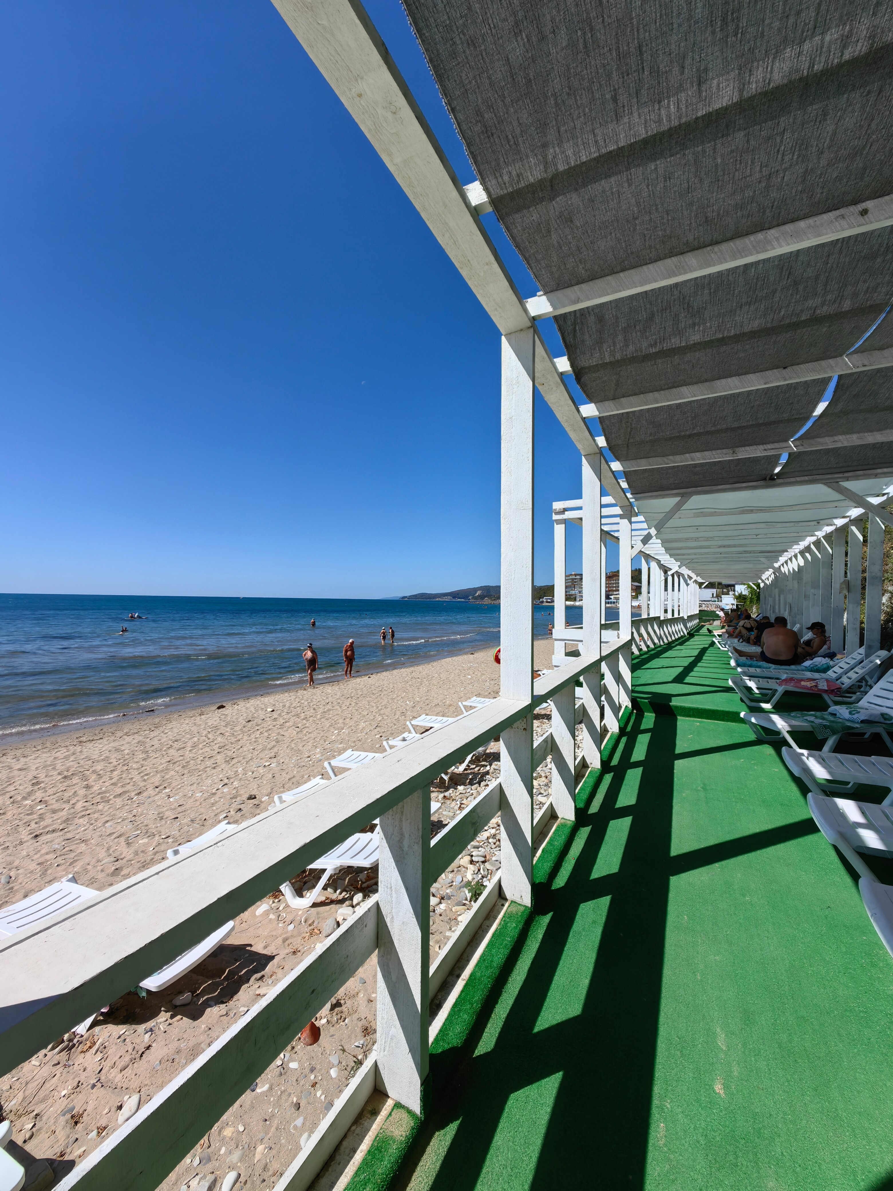 Фото Мироген