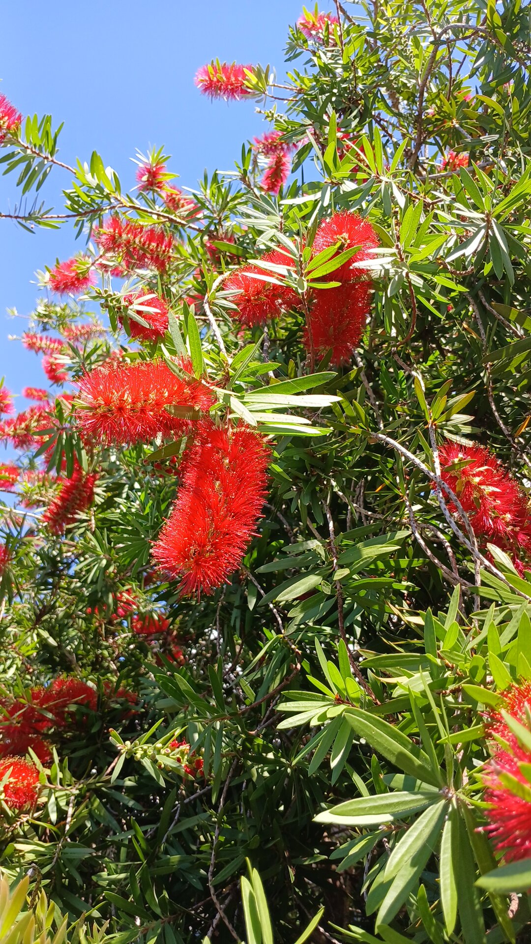 Фото Mandarin Hotel