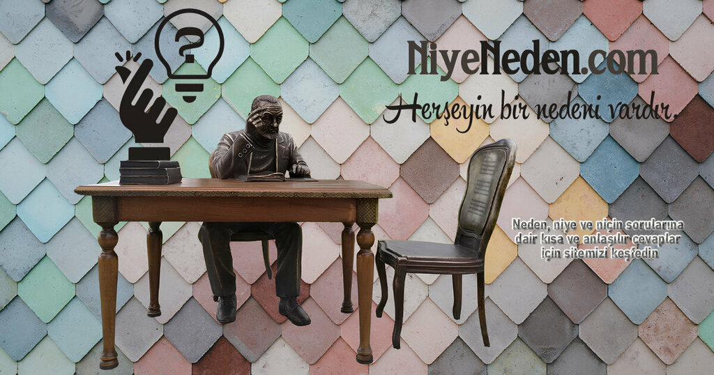 Accountancy courses Niye Neden, Aziziye, photo