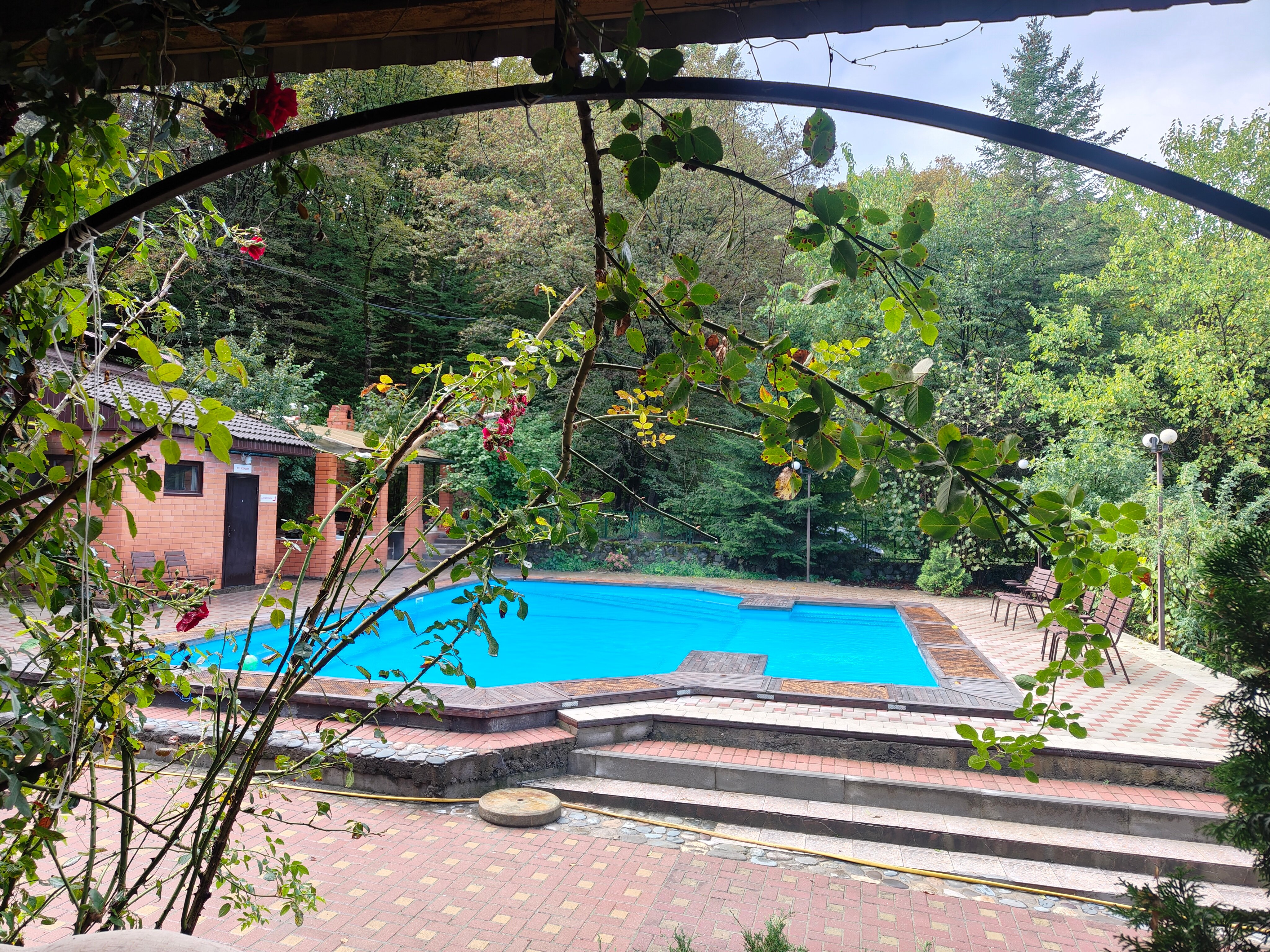 Фото Эдельвейс Ретро