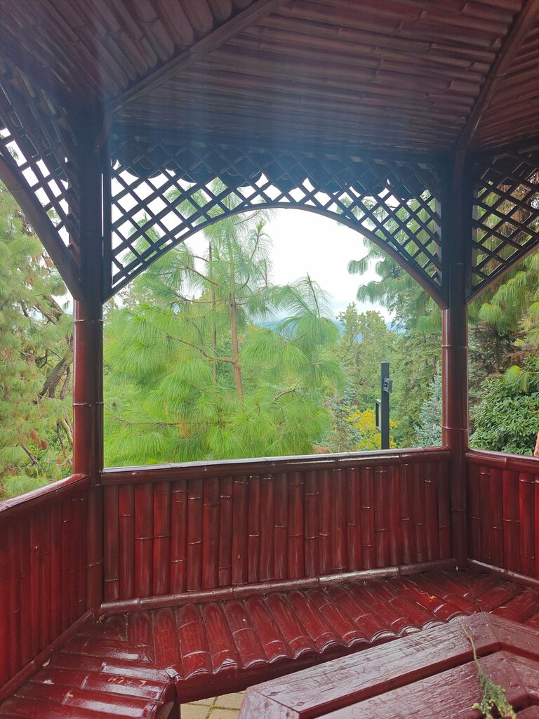 Gazebo Gazebo, Batumi, photo