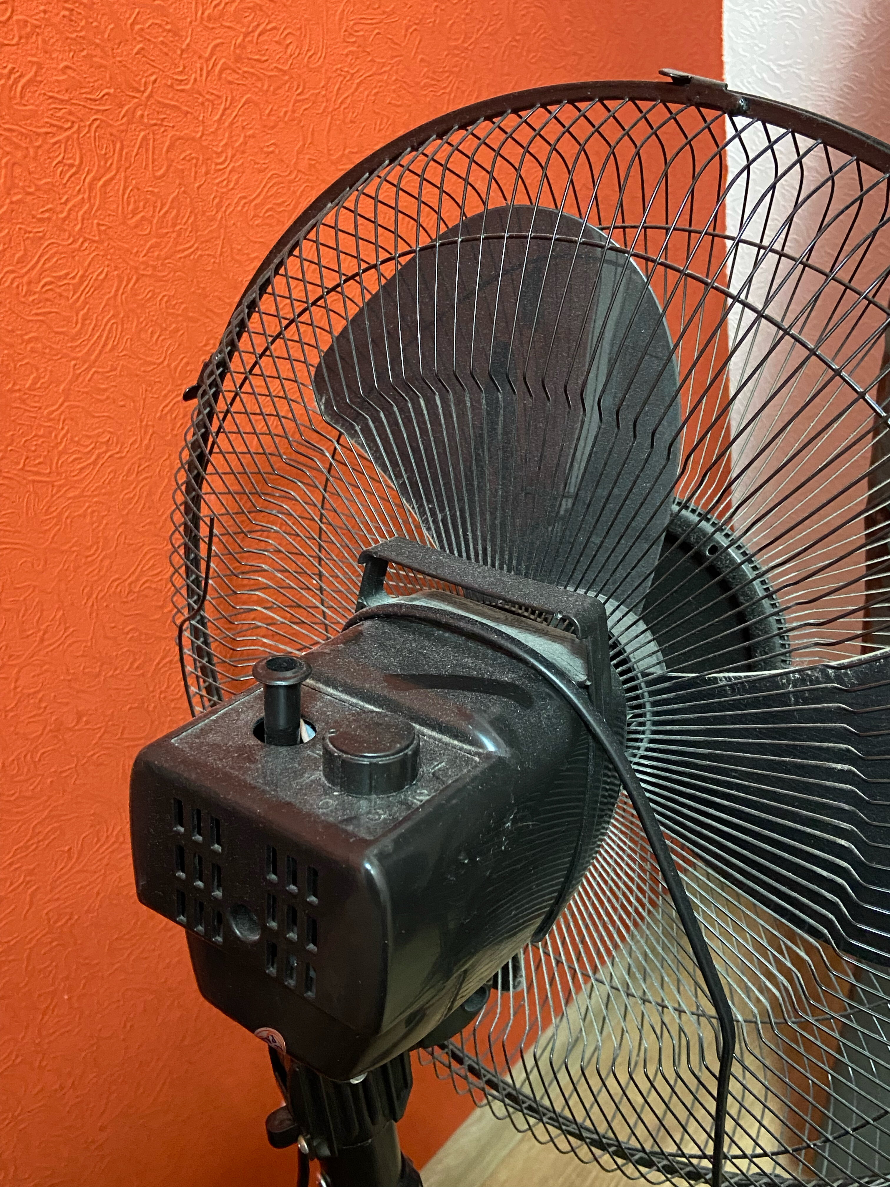 Фото Зеленый дом