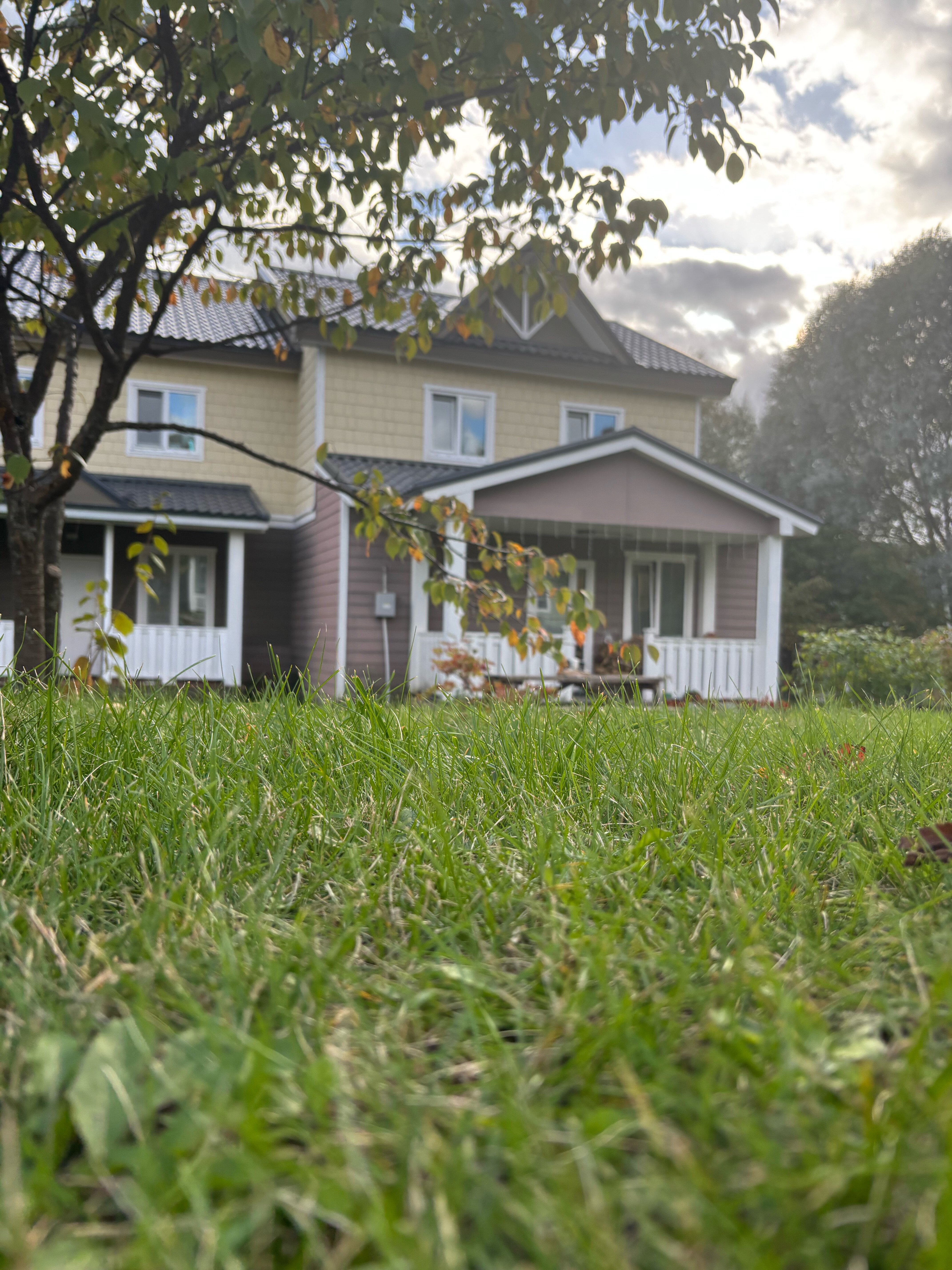 Фото Земляничные Холмы