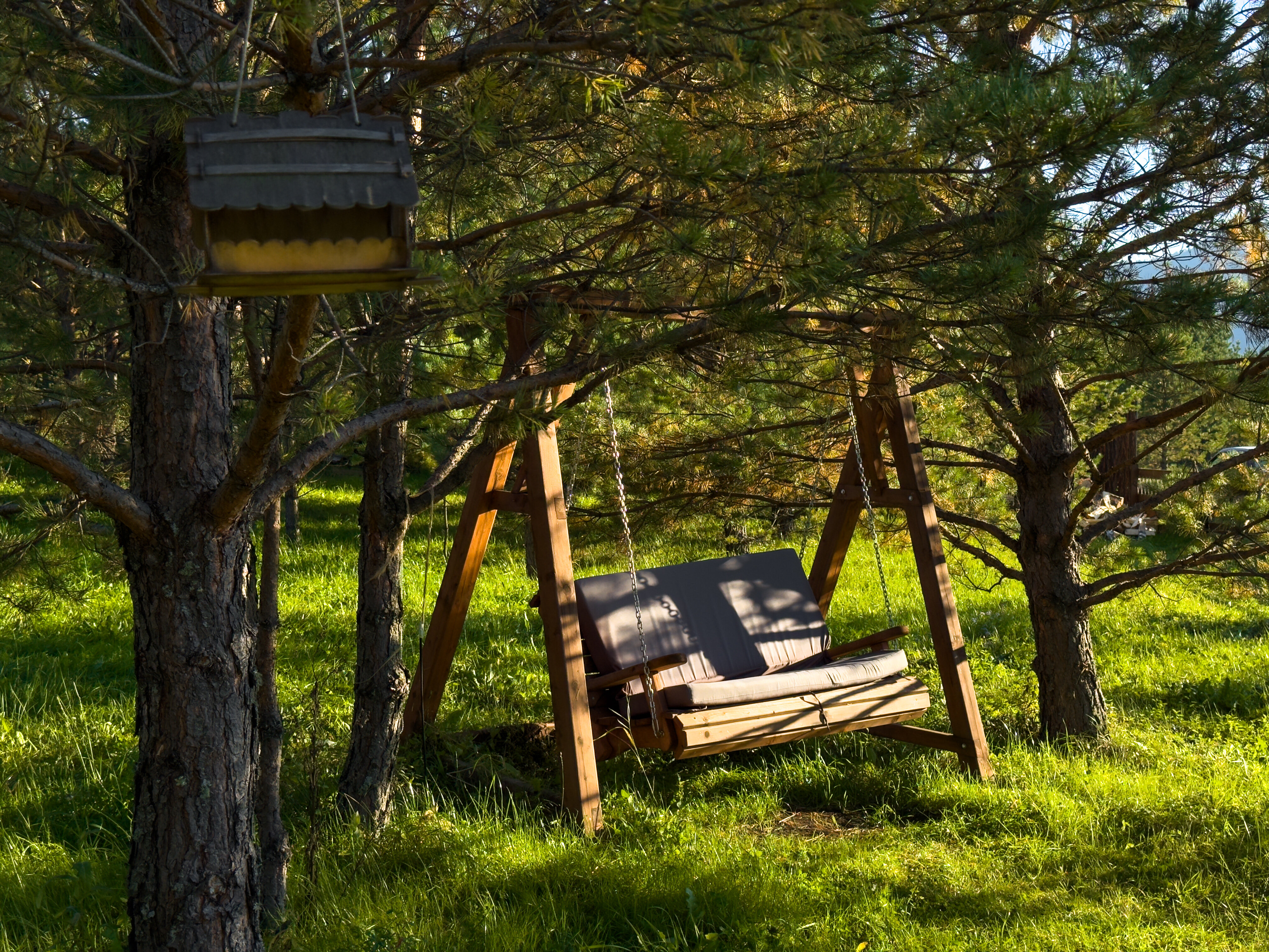Фото Алтайский дом Перезагрузка