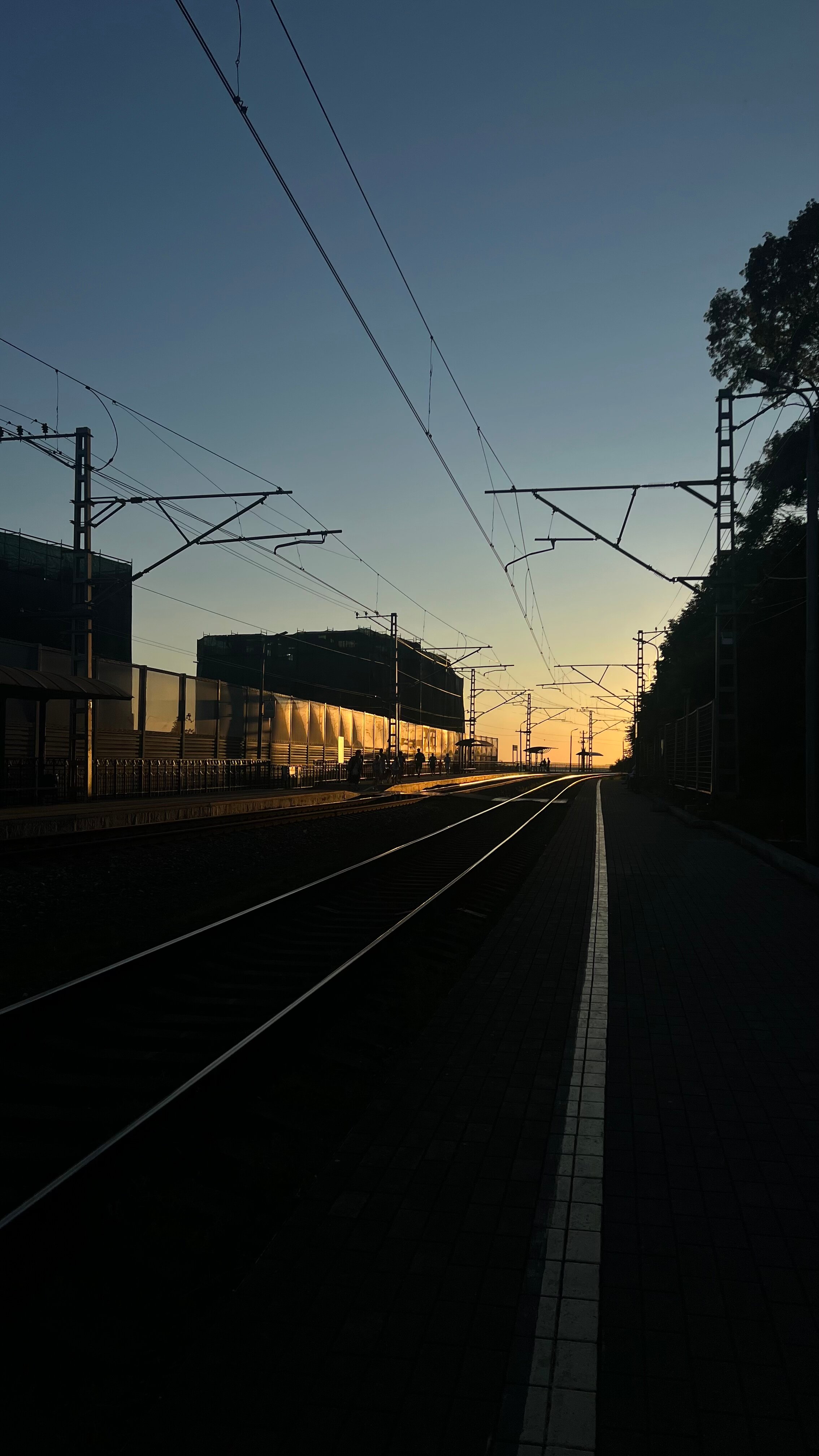 Фото Фазенда