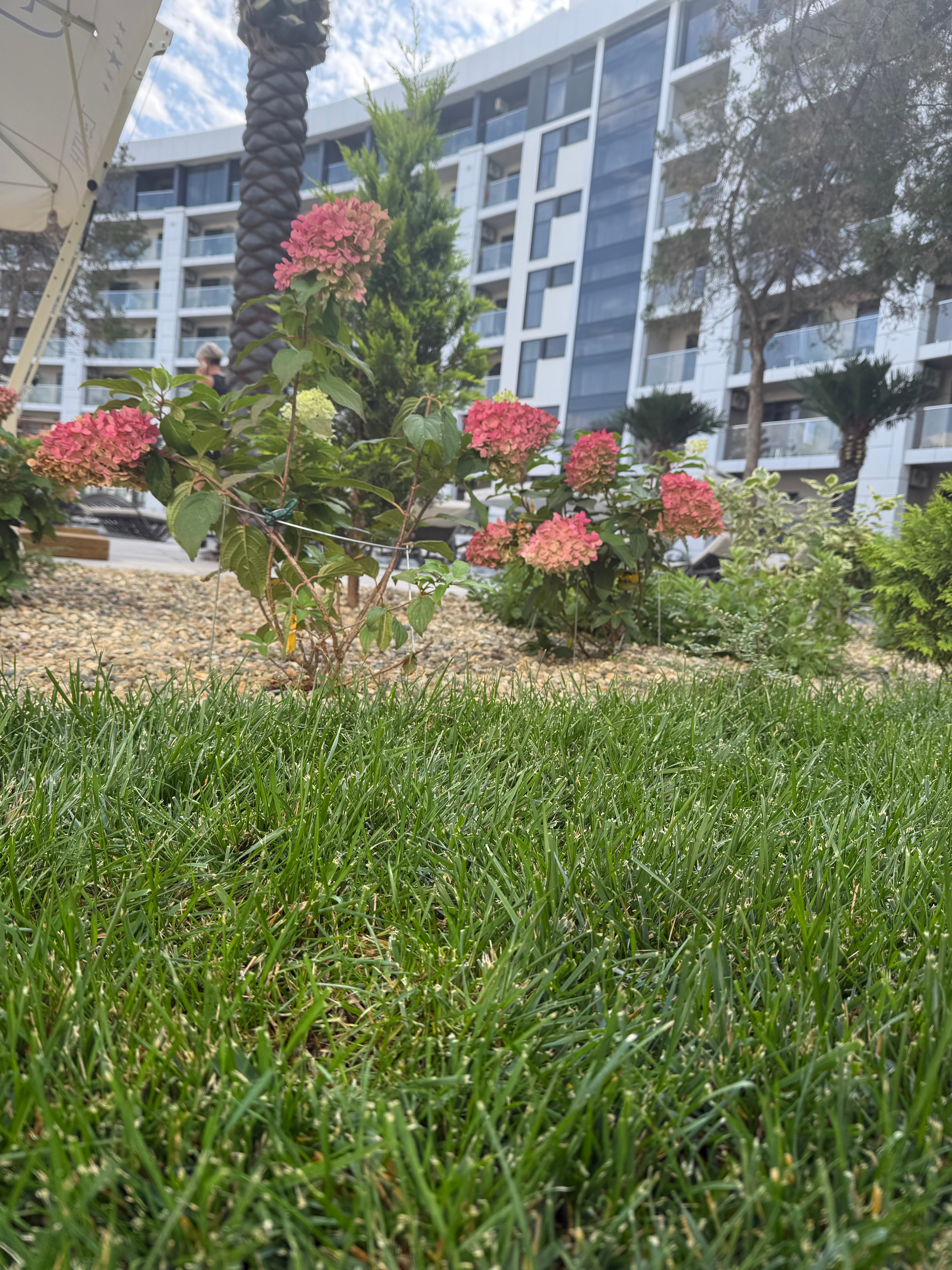 Фото Zenith Resort Hotel & SPA Ultra All inclusive