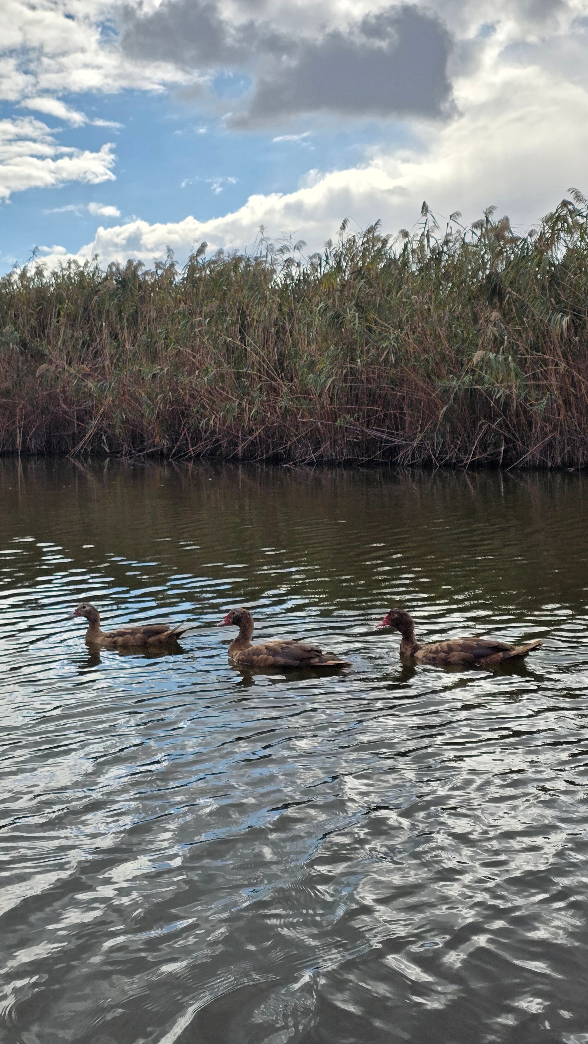Фото Загородный комплекс Хутор Покровский