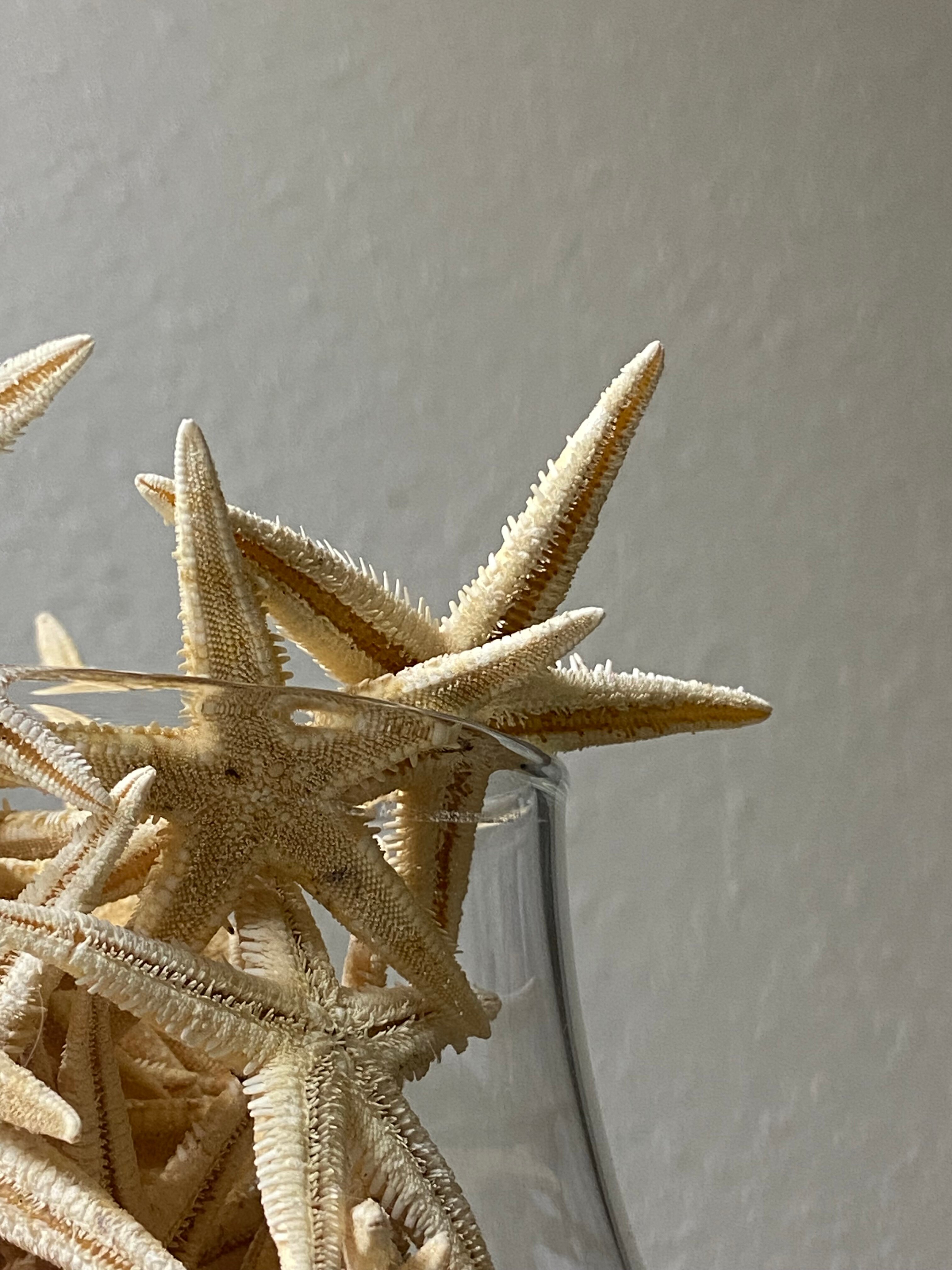 Фото МыСморя