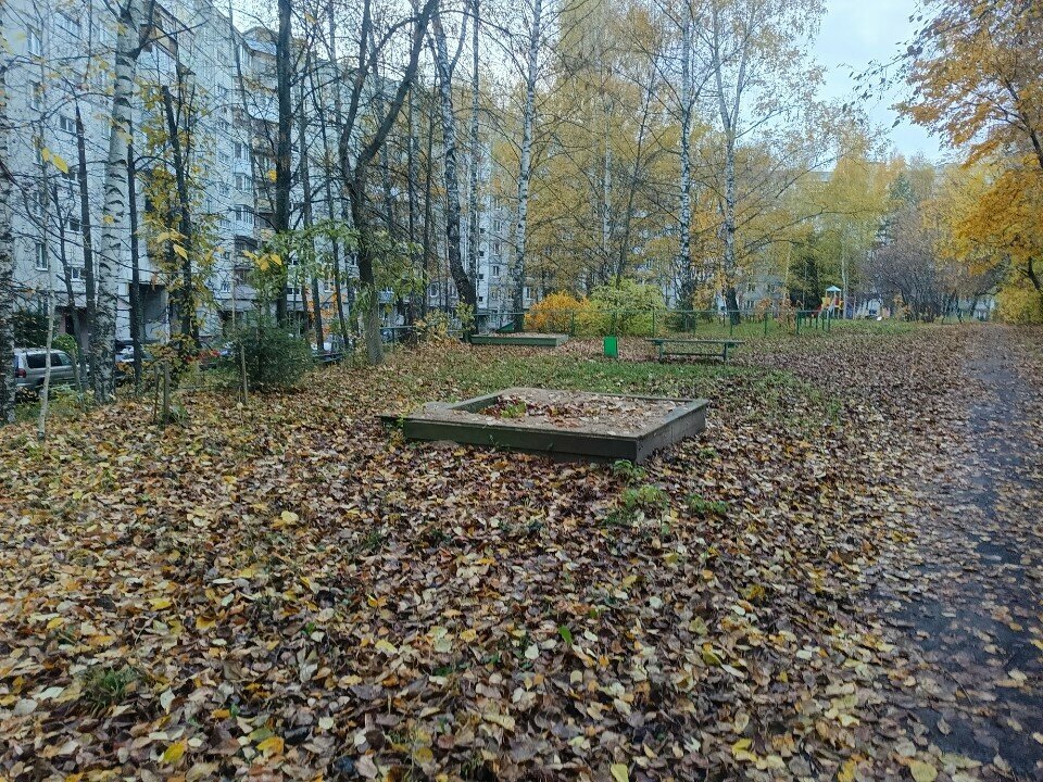Playground Playground, Nizhny Novgorod, photo