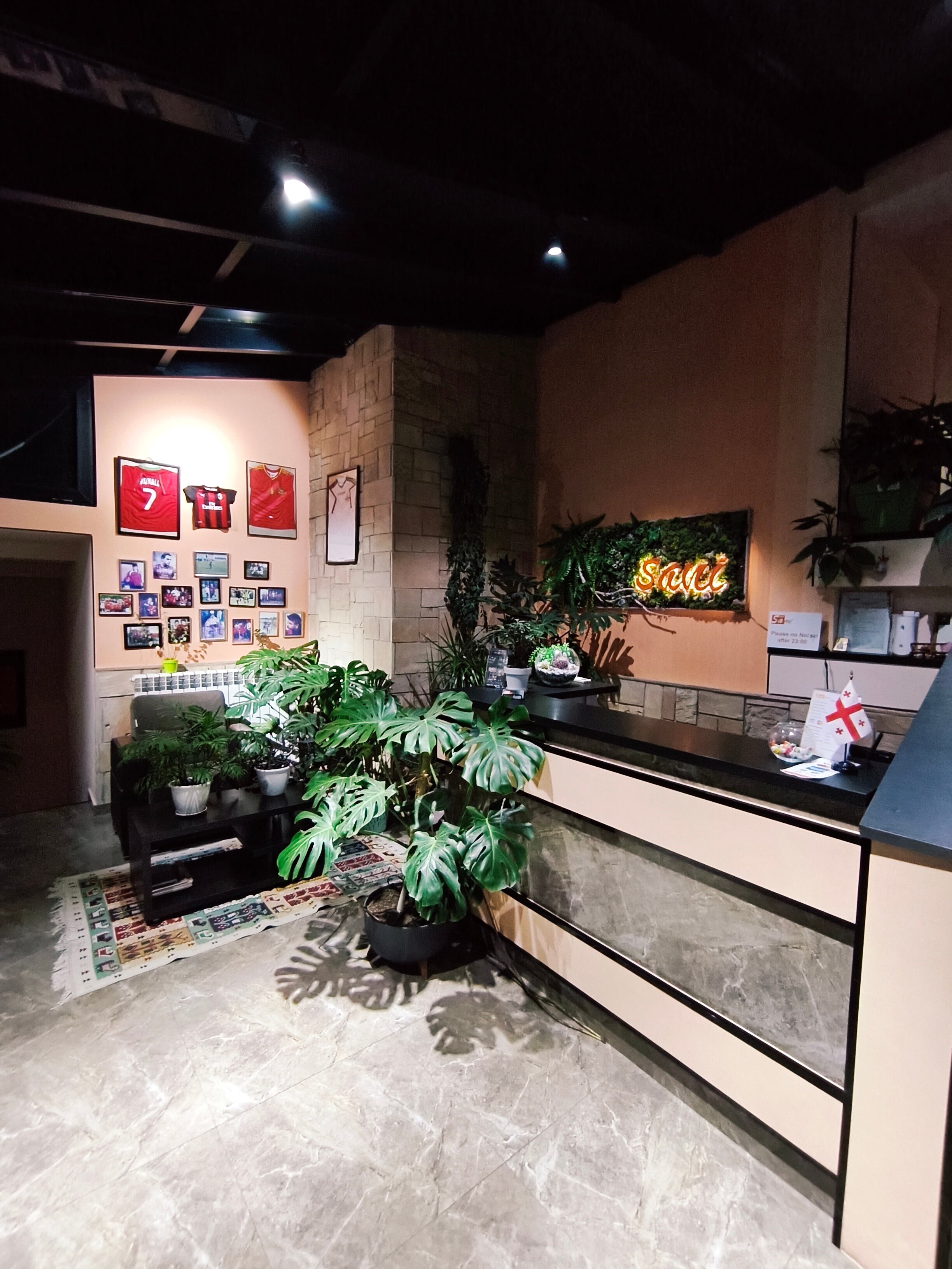 Фото Отель Сани