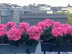 Гостиница Senate Hotel