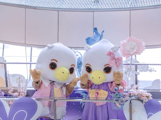 Фото JW Marriott Marquis Hotel Shanghai Pudong