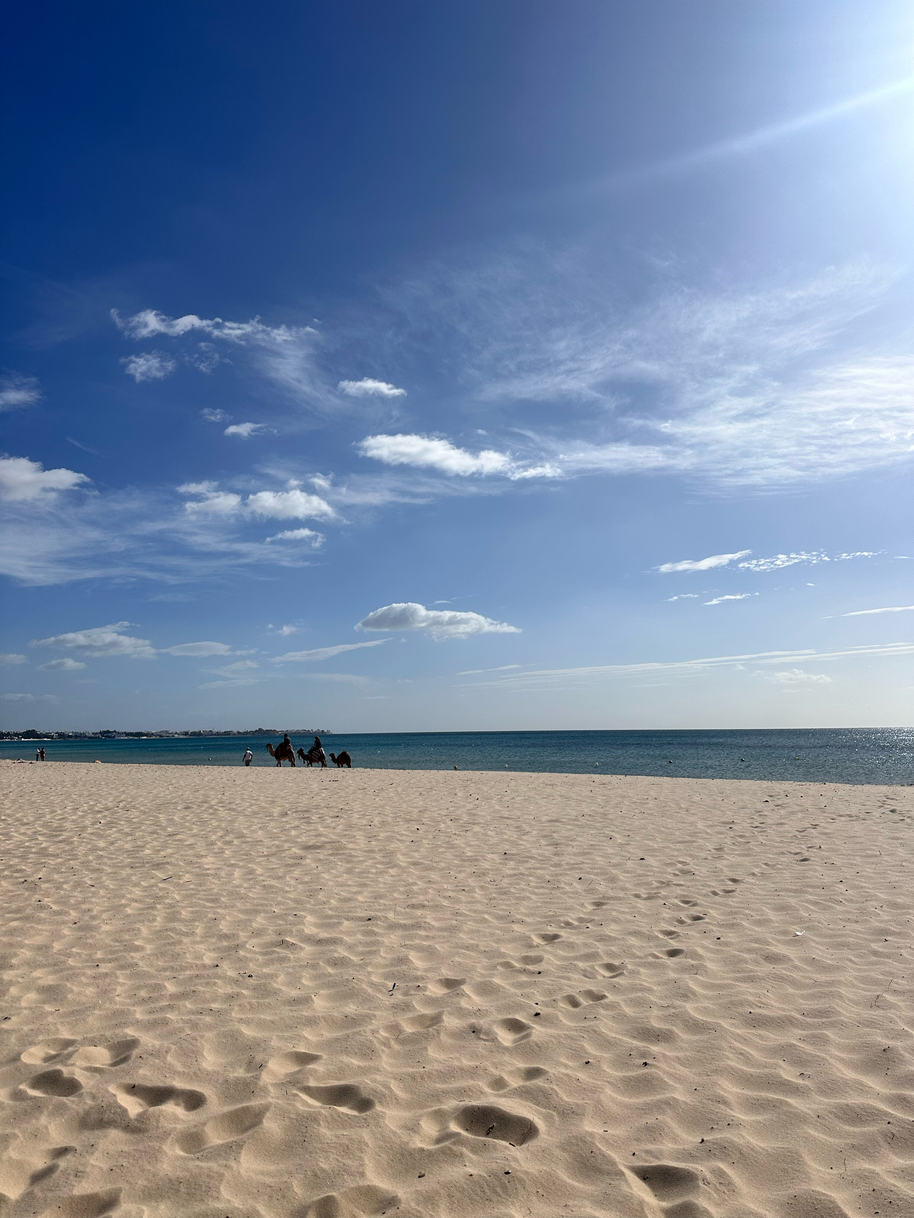 Фото Steigenberger Marhaba Thalasso Hammamet
