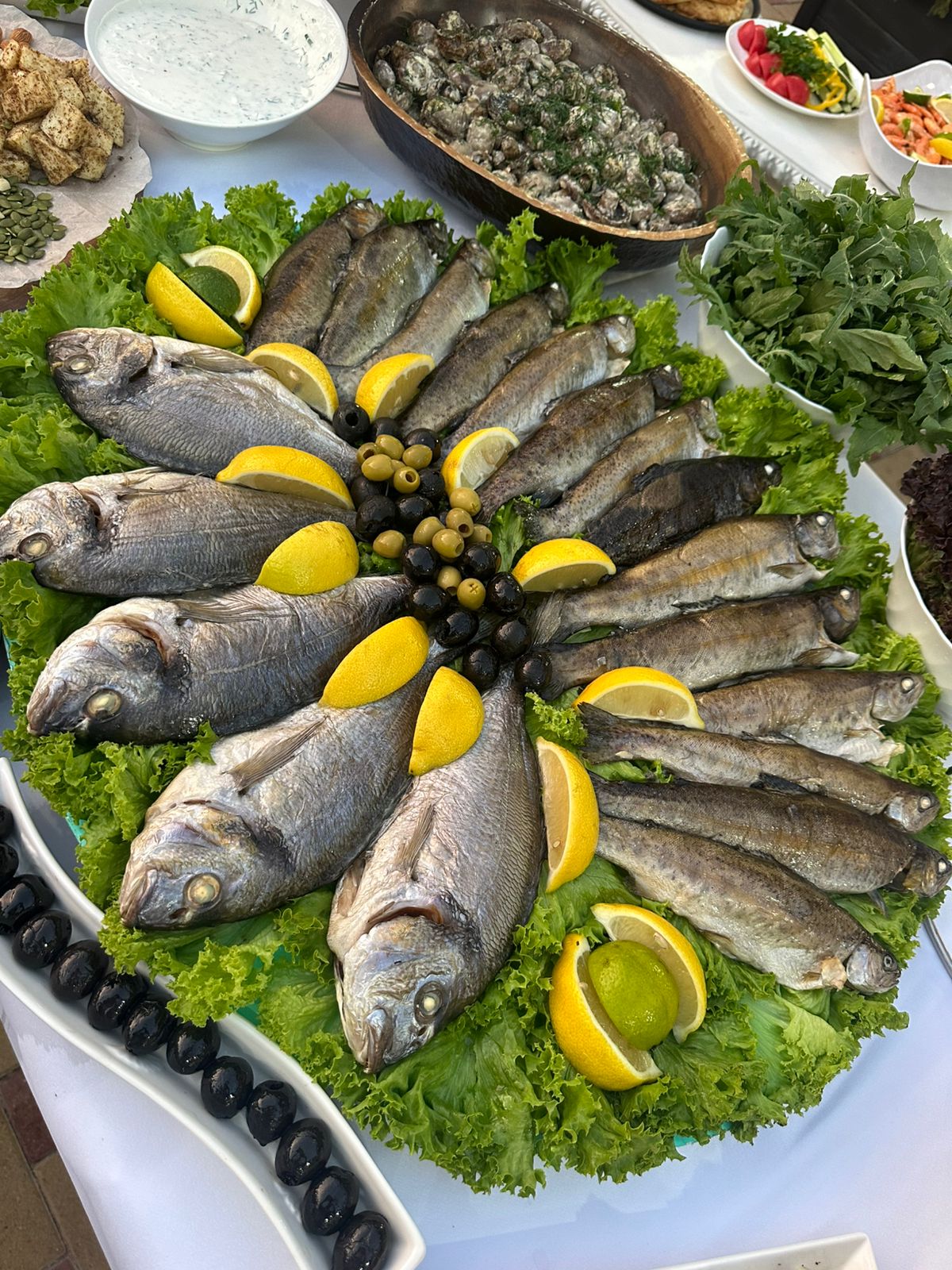 Фото Демократия