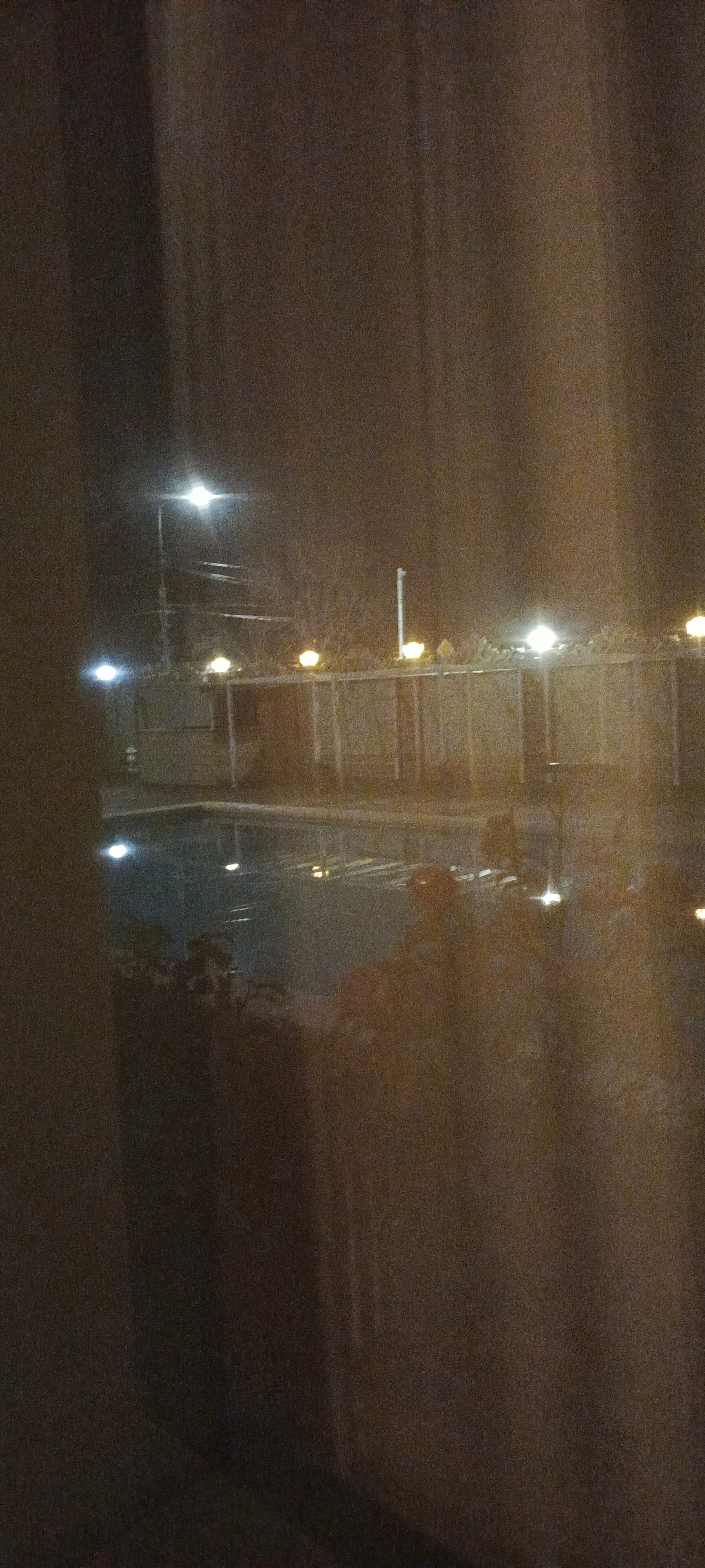 Фото Сильвия