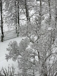 Иное жильё Центр