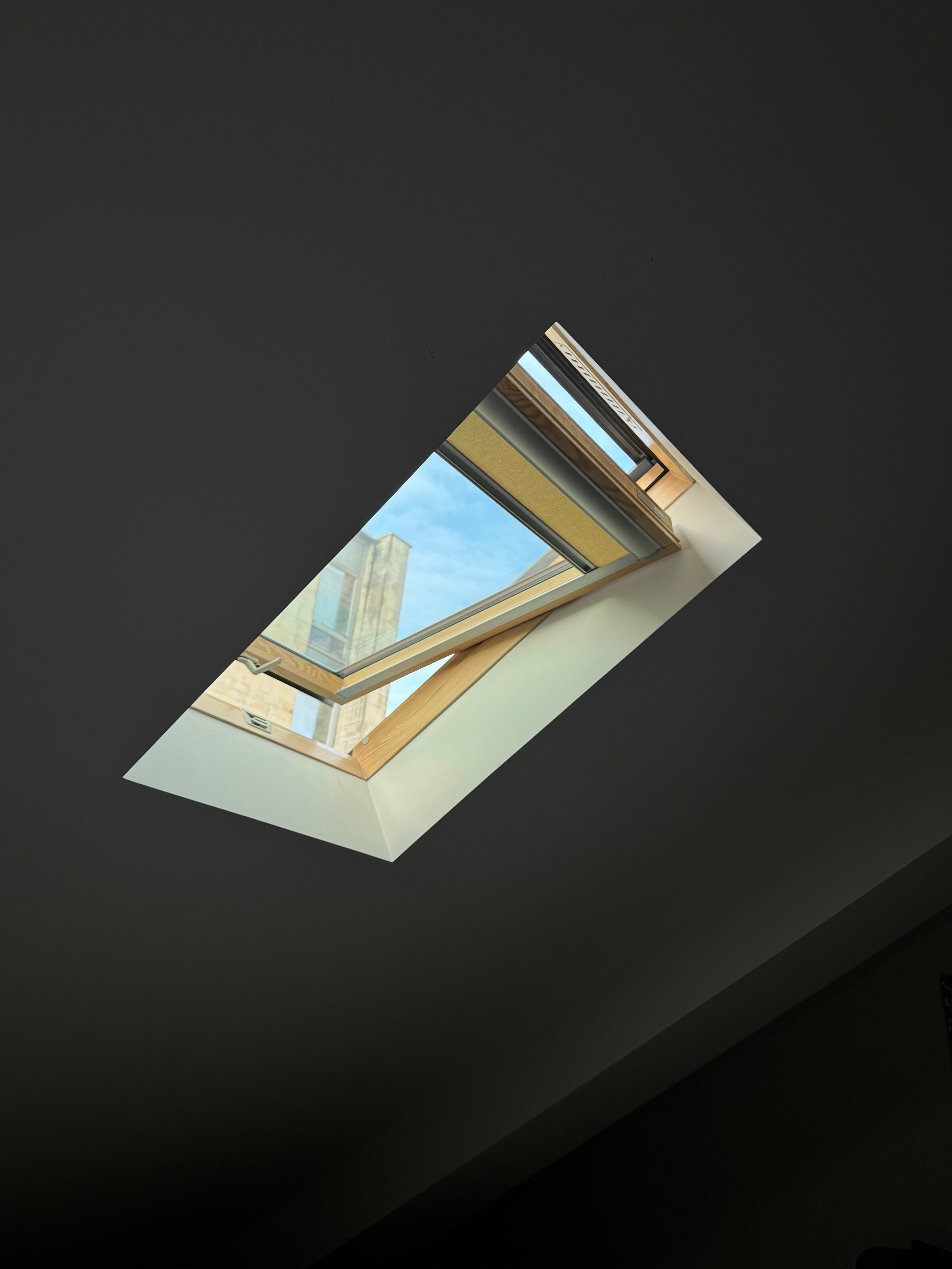 Фото Гнёздышко