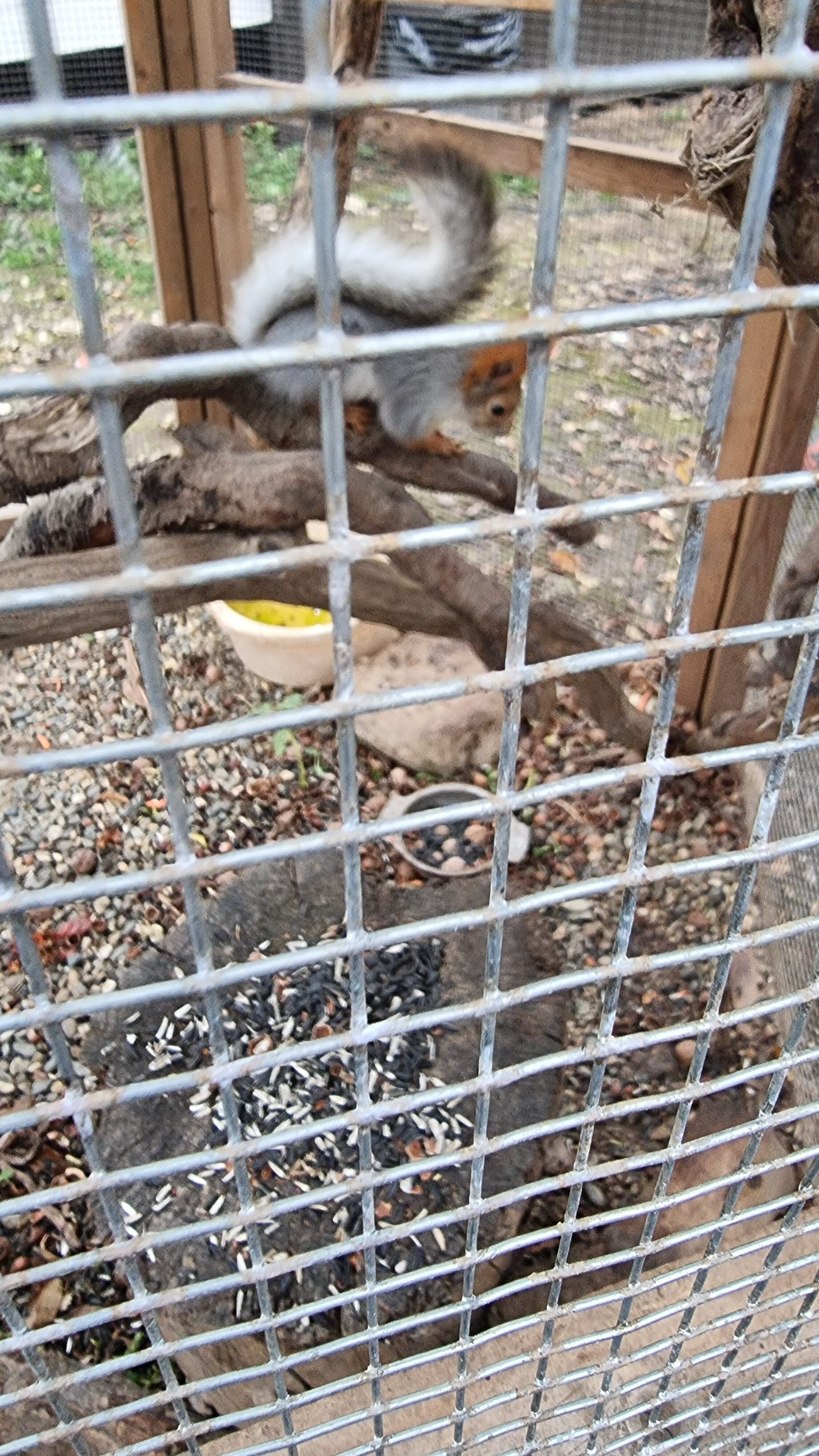 Фото Палитра