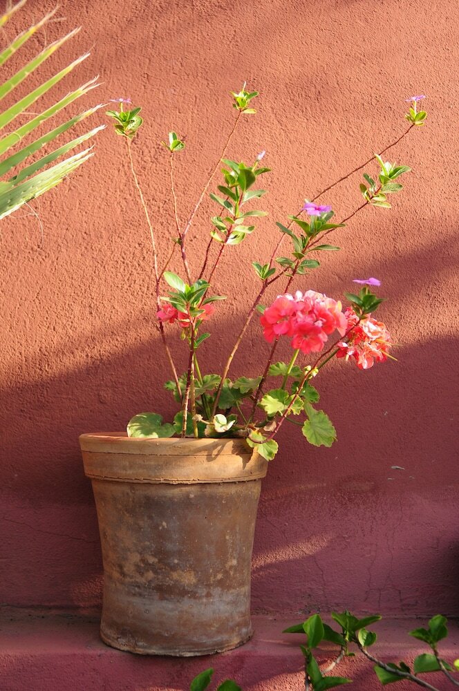 Фото Riad Al Mamoune