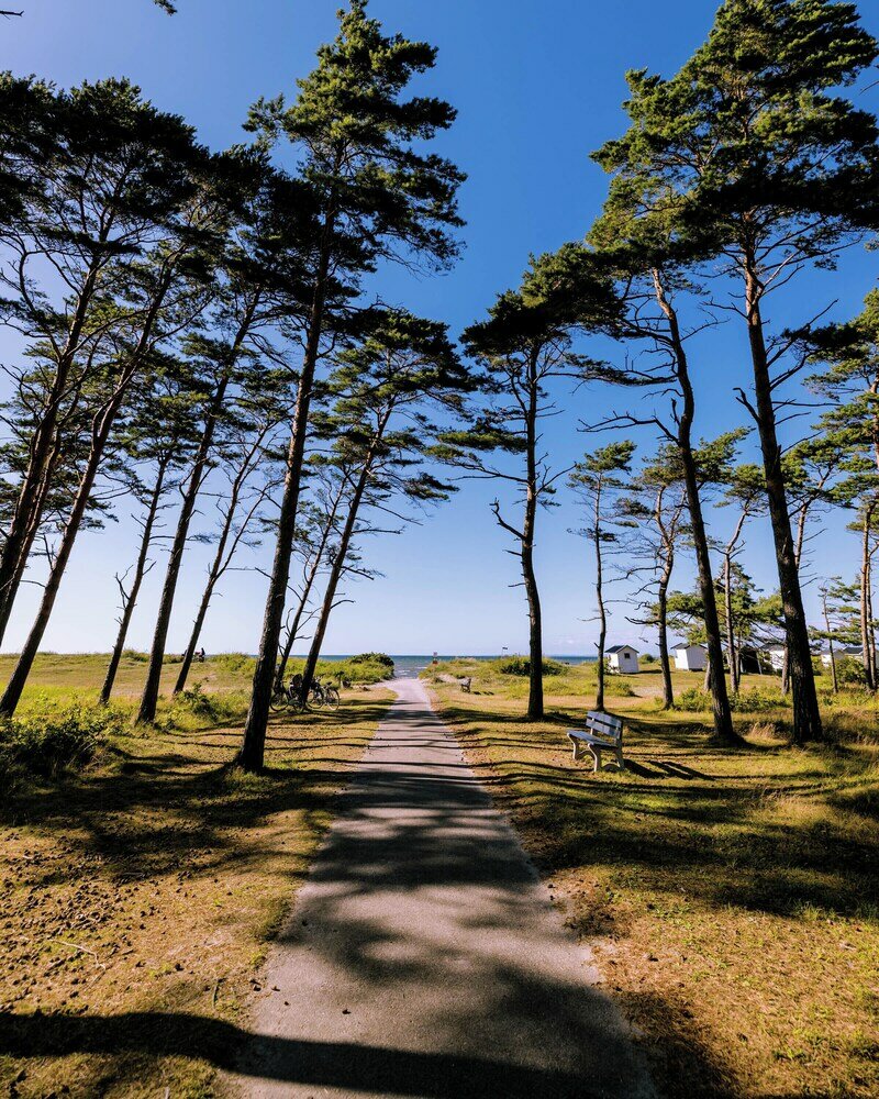 Фото Hotel Riviera Strand