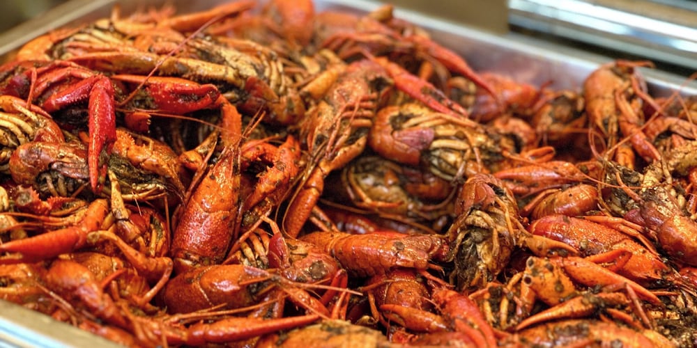 Фото Holiday Inn Haikou West Coast