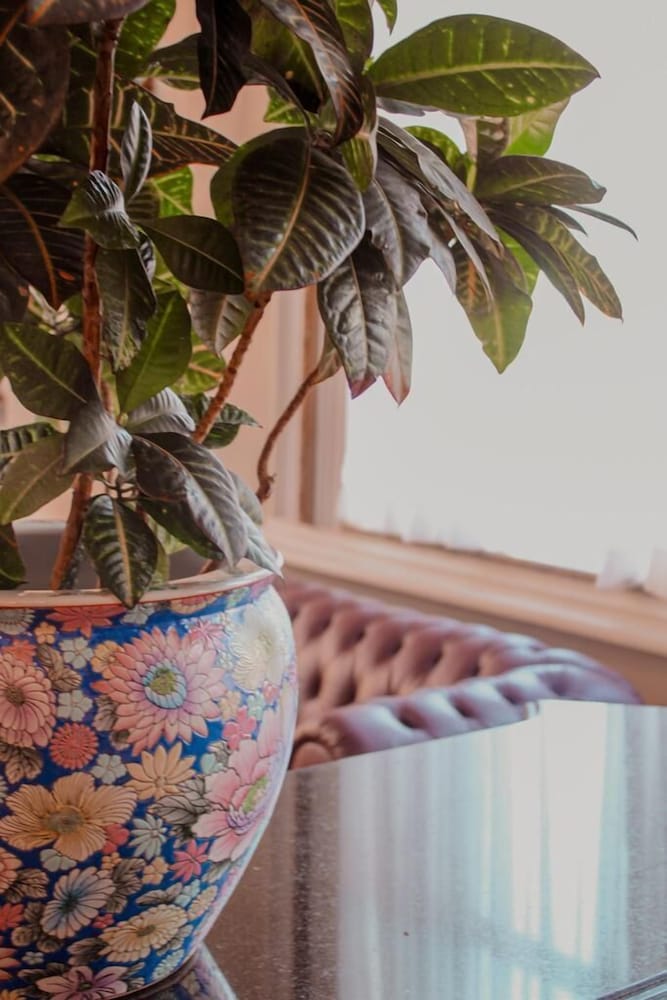 Фото Hotel Bertaso