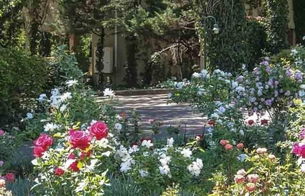 Фото Valley Lodge & SPA