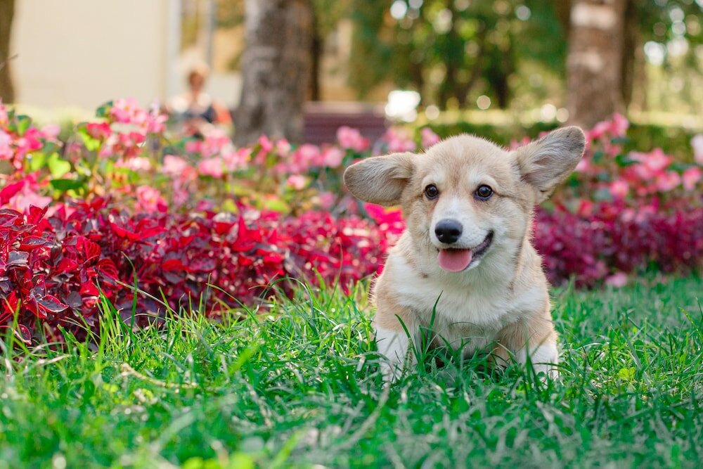 Фото Rabbit Resort Pattaya