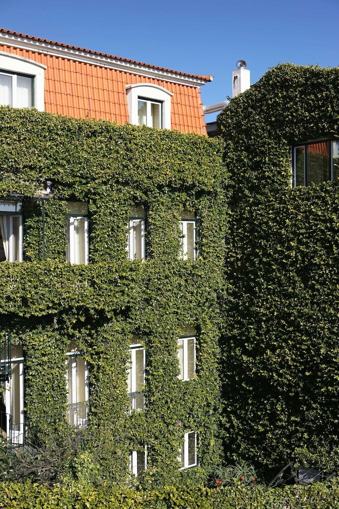 Фото Janelas Verdes 88