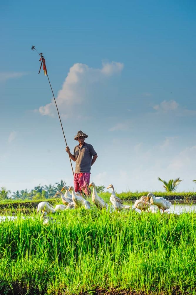 Фото Visesa Ubud Resort